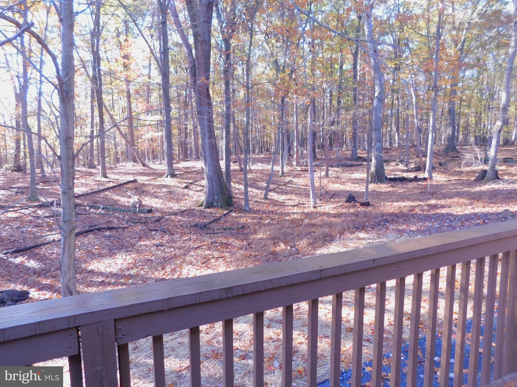 THE WOODS - Residential