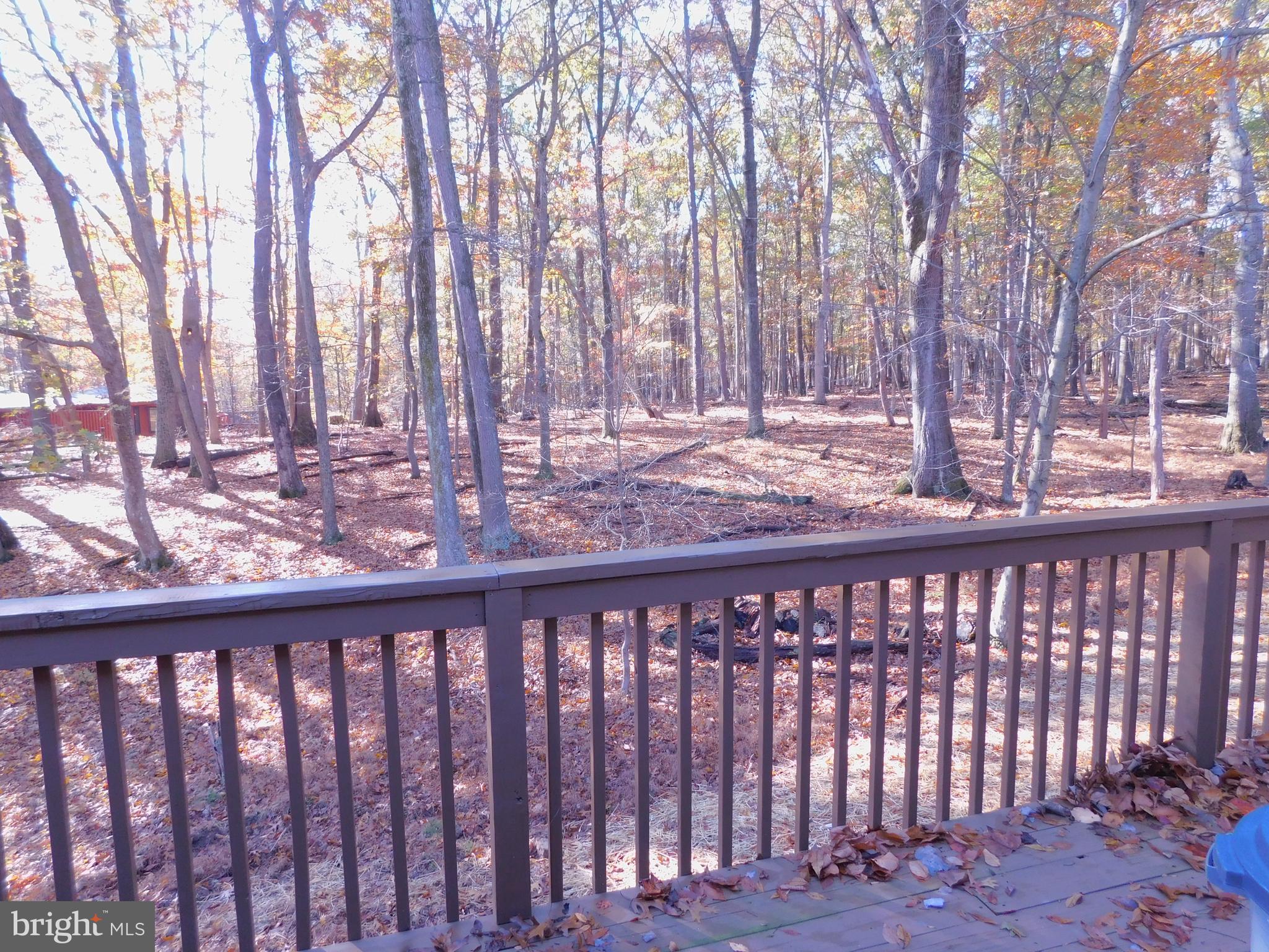 THE WOODS - Residential