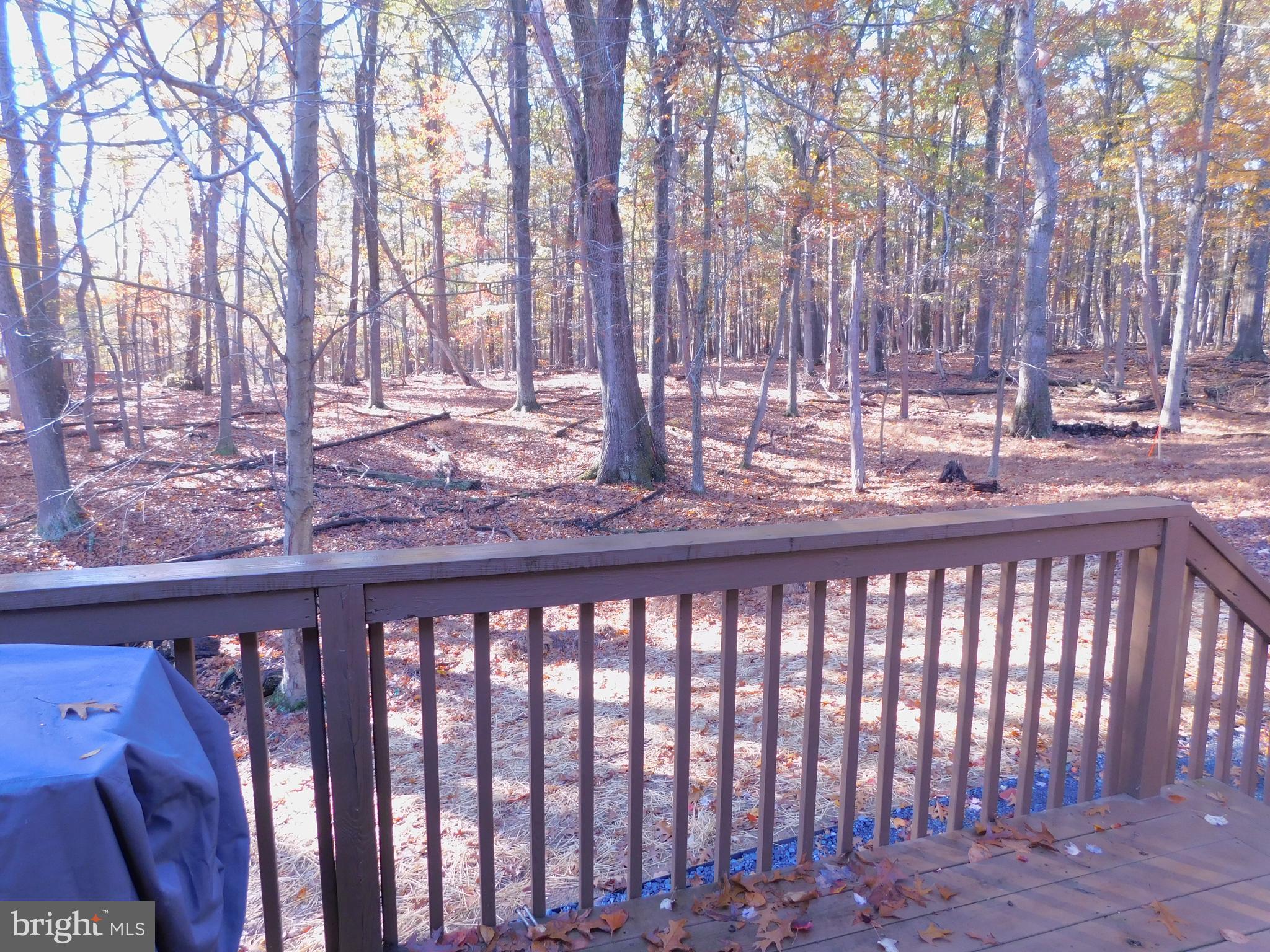 THE WOODS - Residential