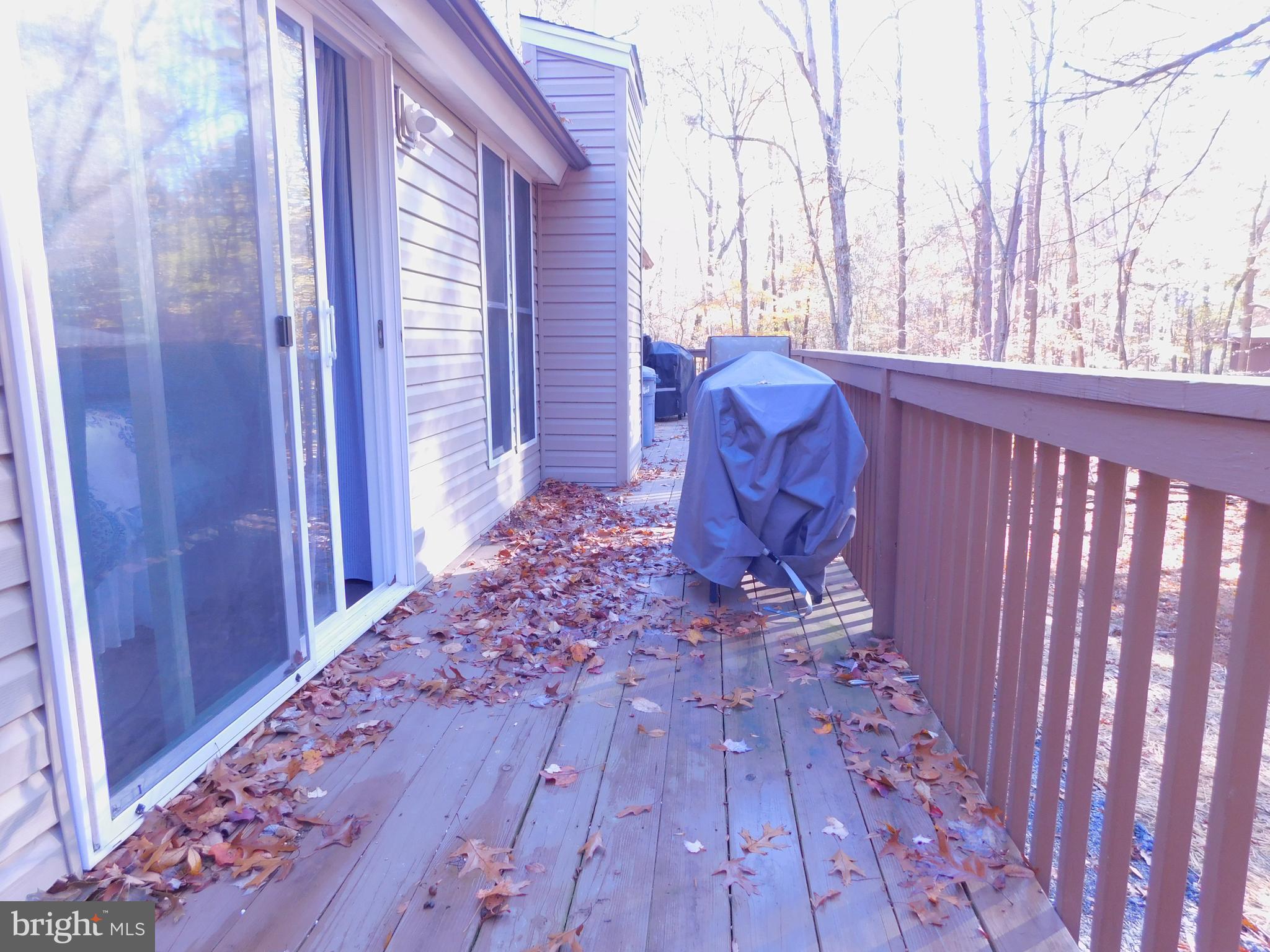 THE WOODS - Residential