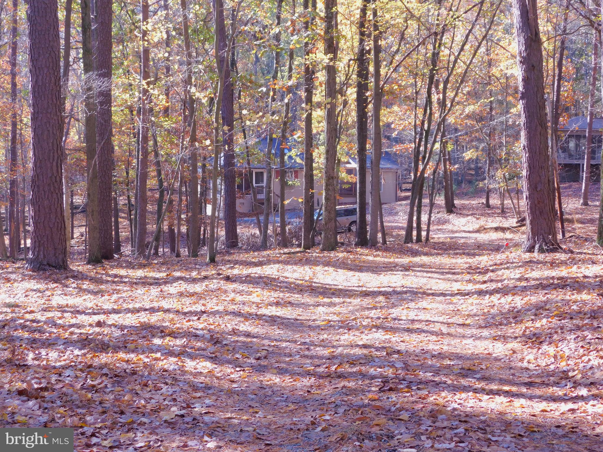 THE WOODS - Residential