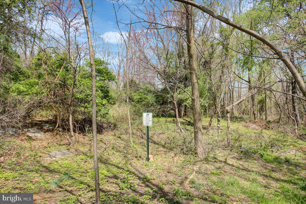 BLACK ROCK ESTATES - Residential