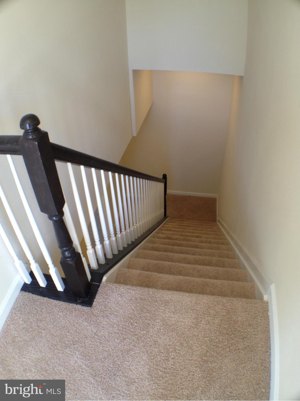 OXFORD SQUARE - Residential Lease