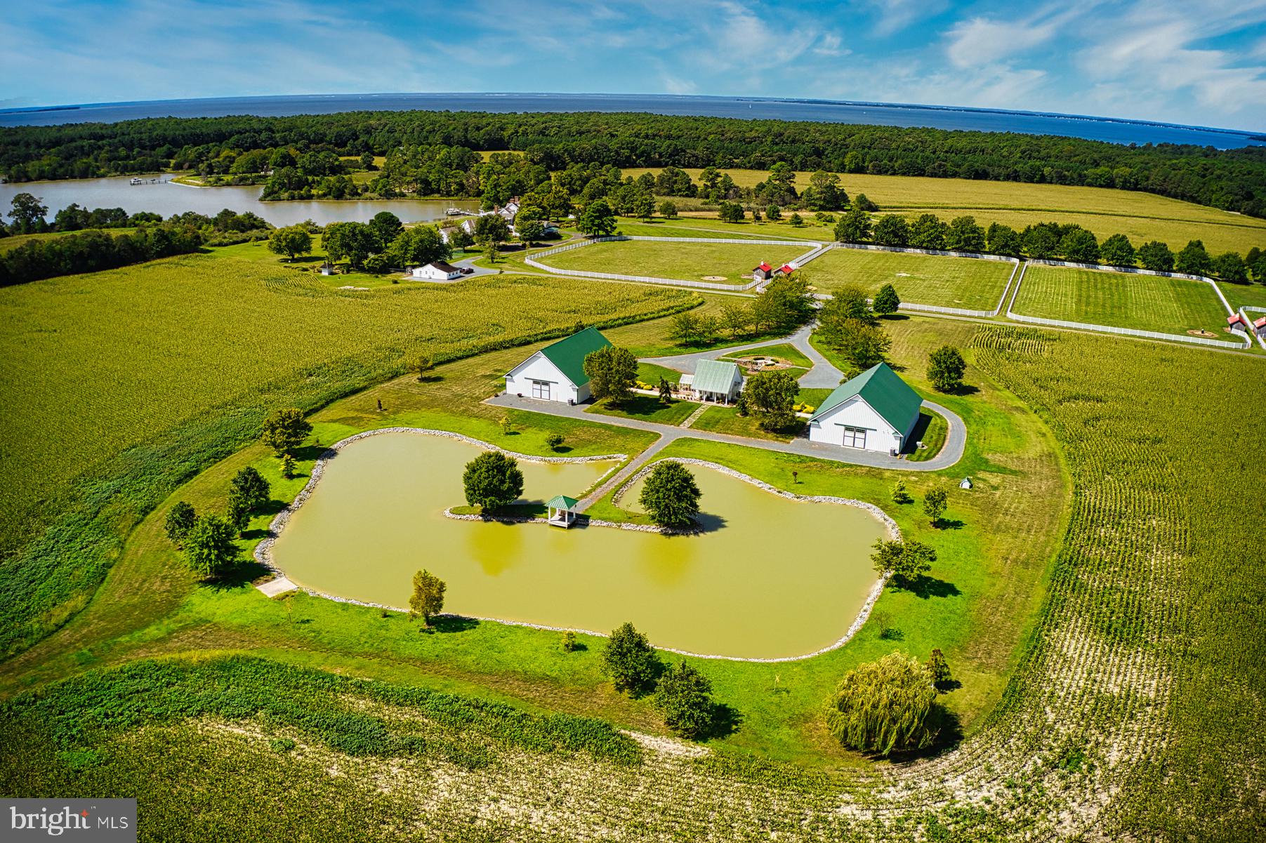 ROYAL OAK - Residential