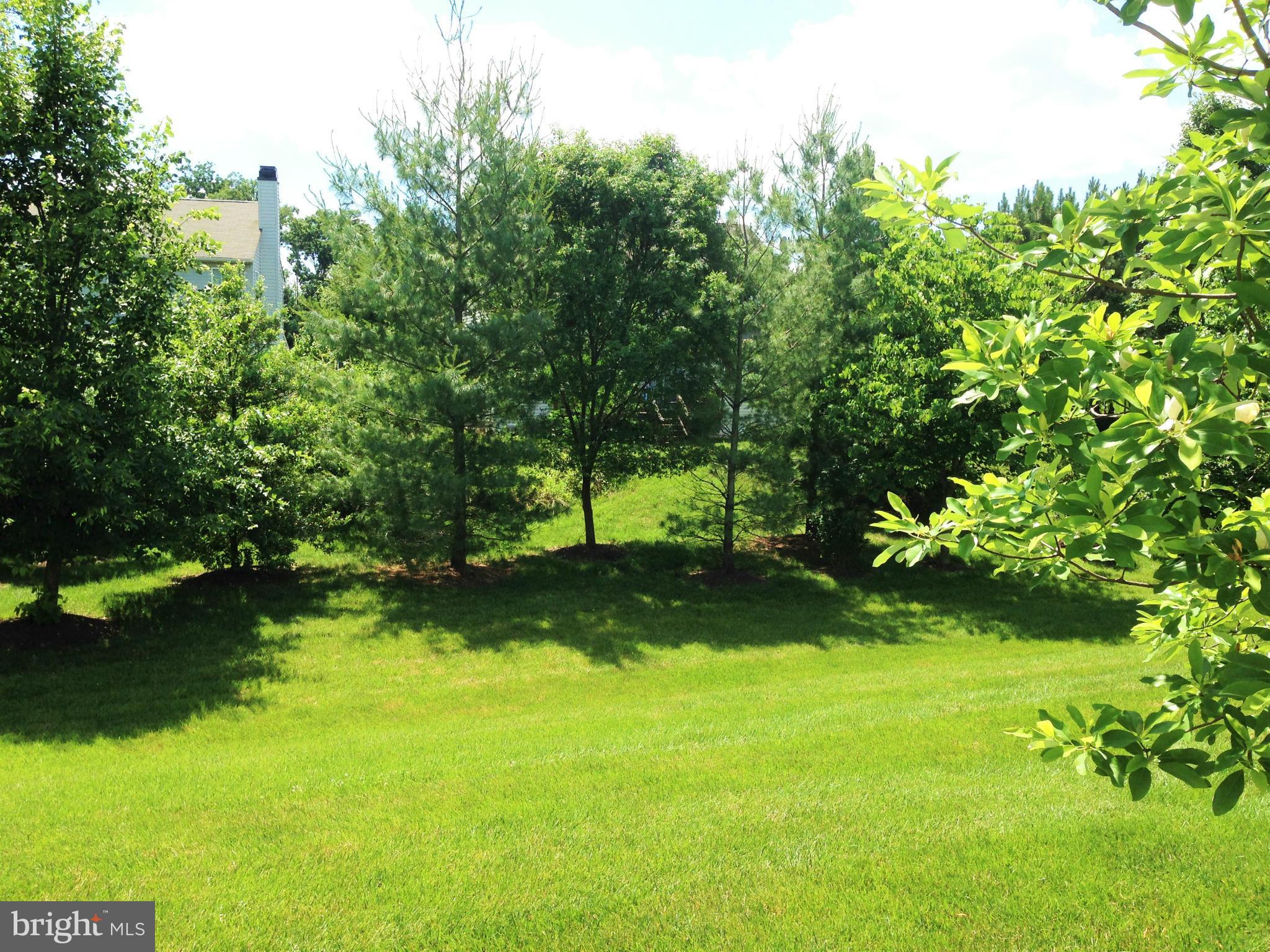 POTOMAC GREEN - Residential