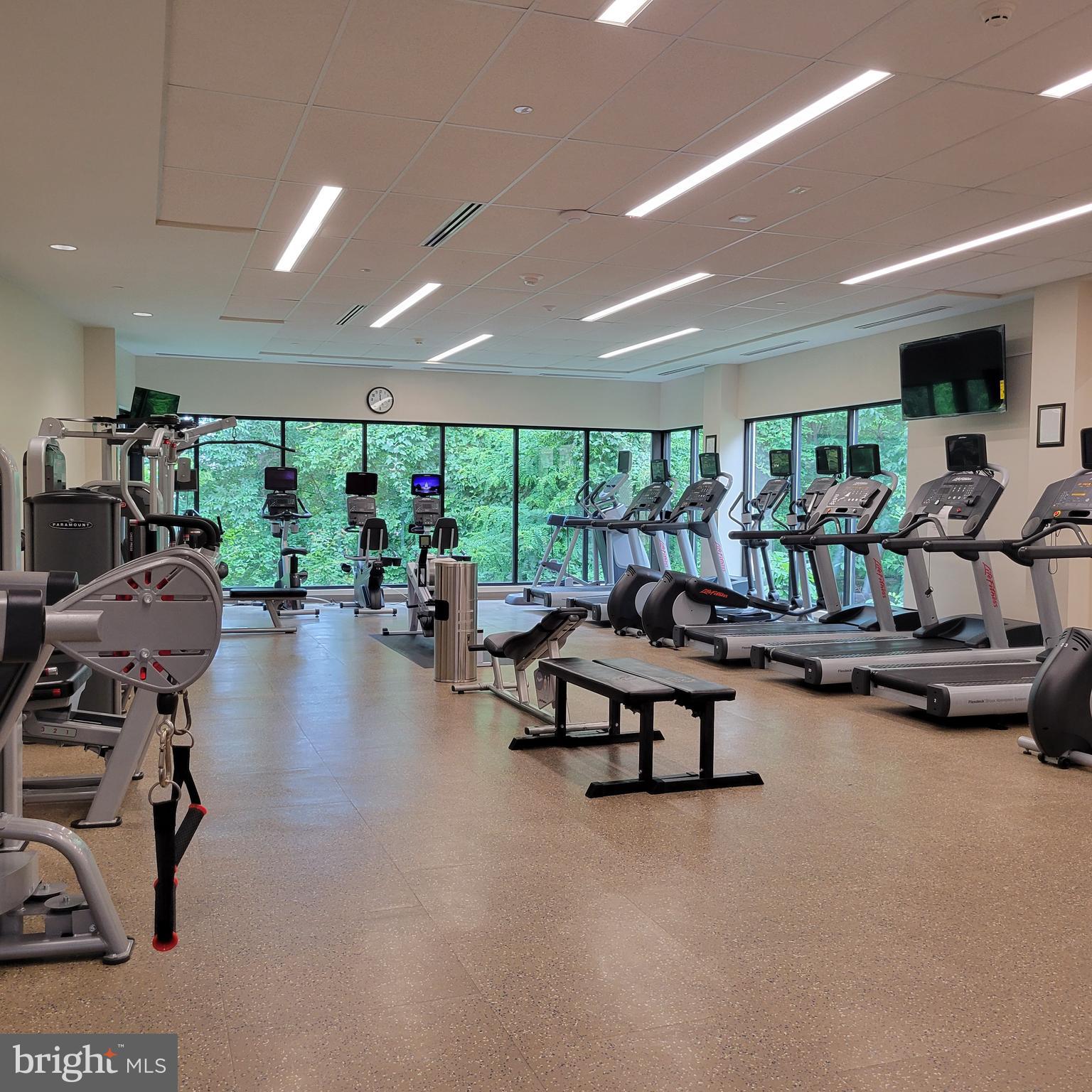 MONTEBELLO - Residential Lease