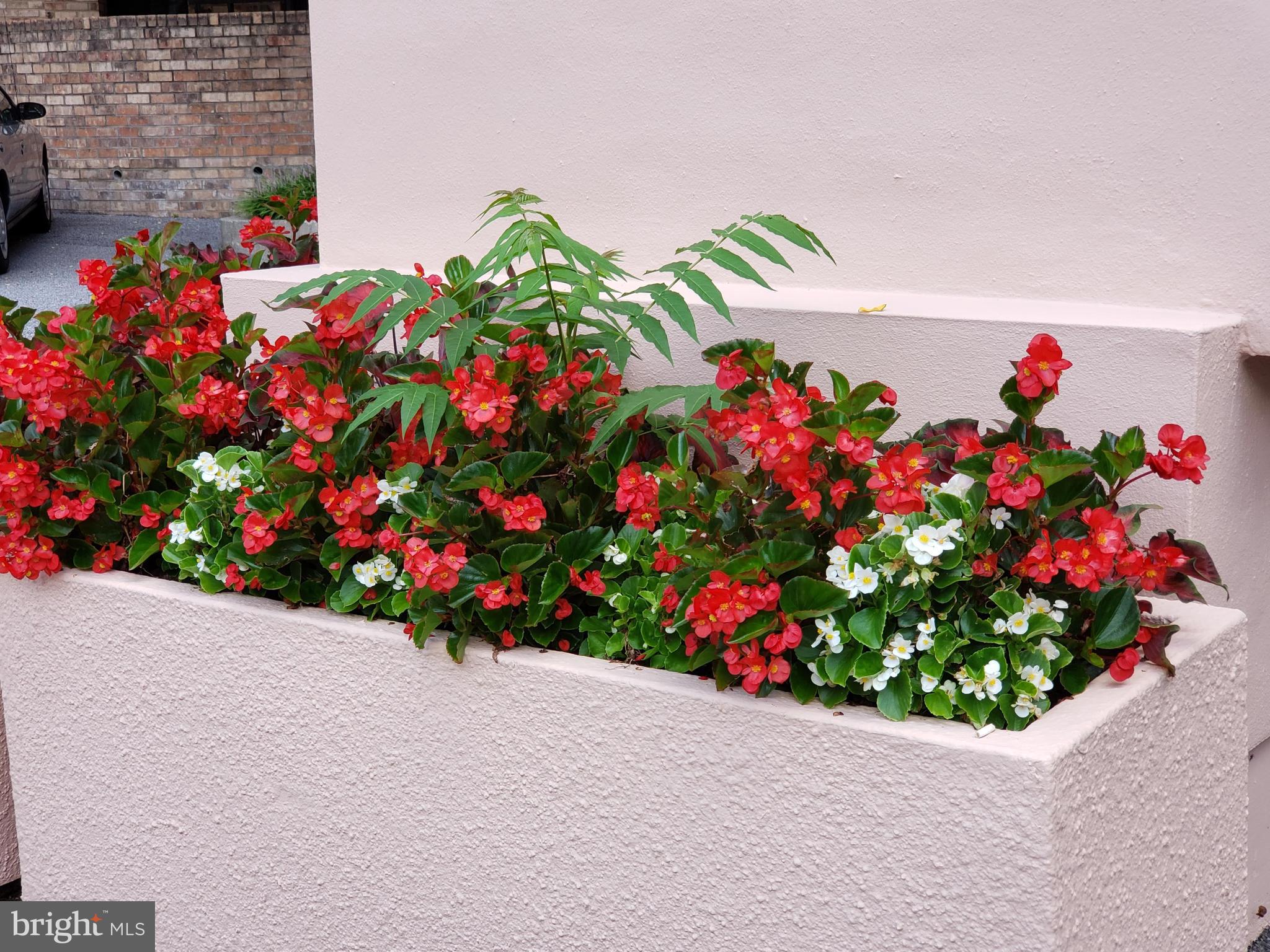 MONTEBELLO - Residential Lease