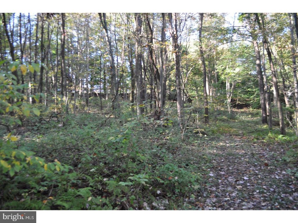 Photo of 2505 West End Avenue, POTTSVILLE, PA 17901 (MLS # PASK2020428)