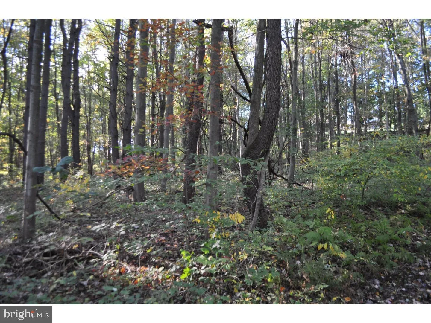 Pottsville, Pennsylvania 17901, United States, ,Land,Active,95211