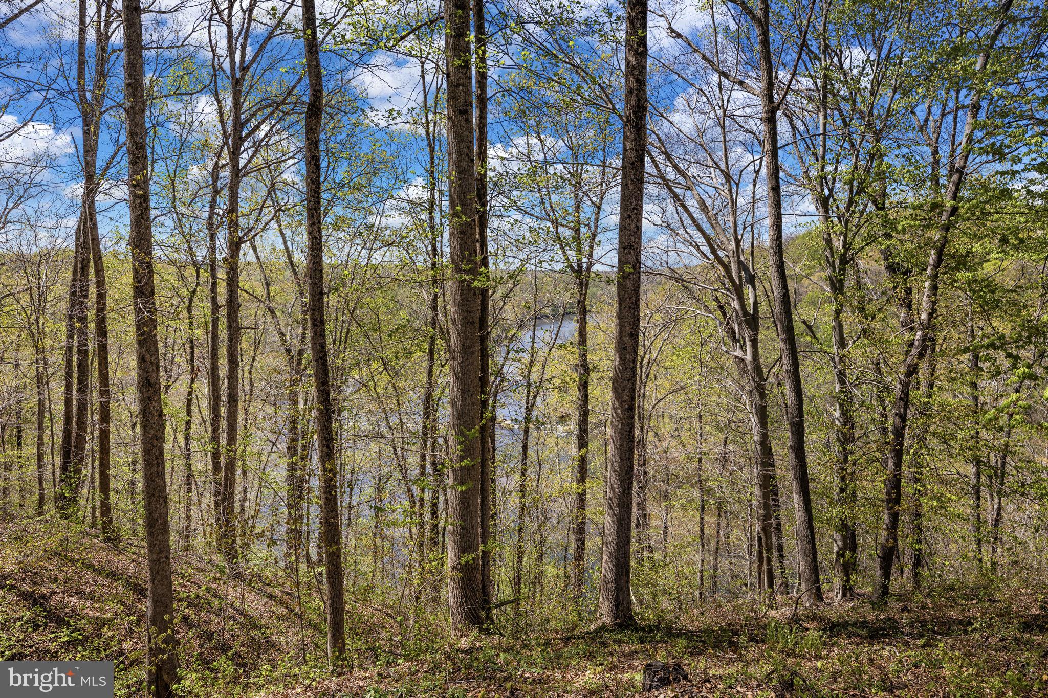 CITY OF FREDERICKSBURG - Residential