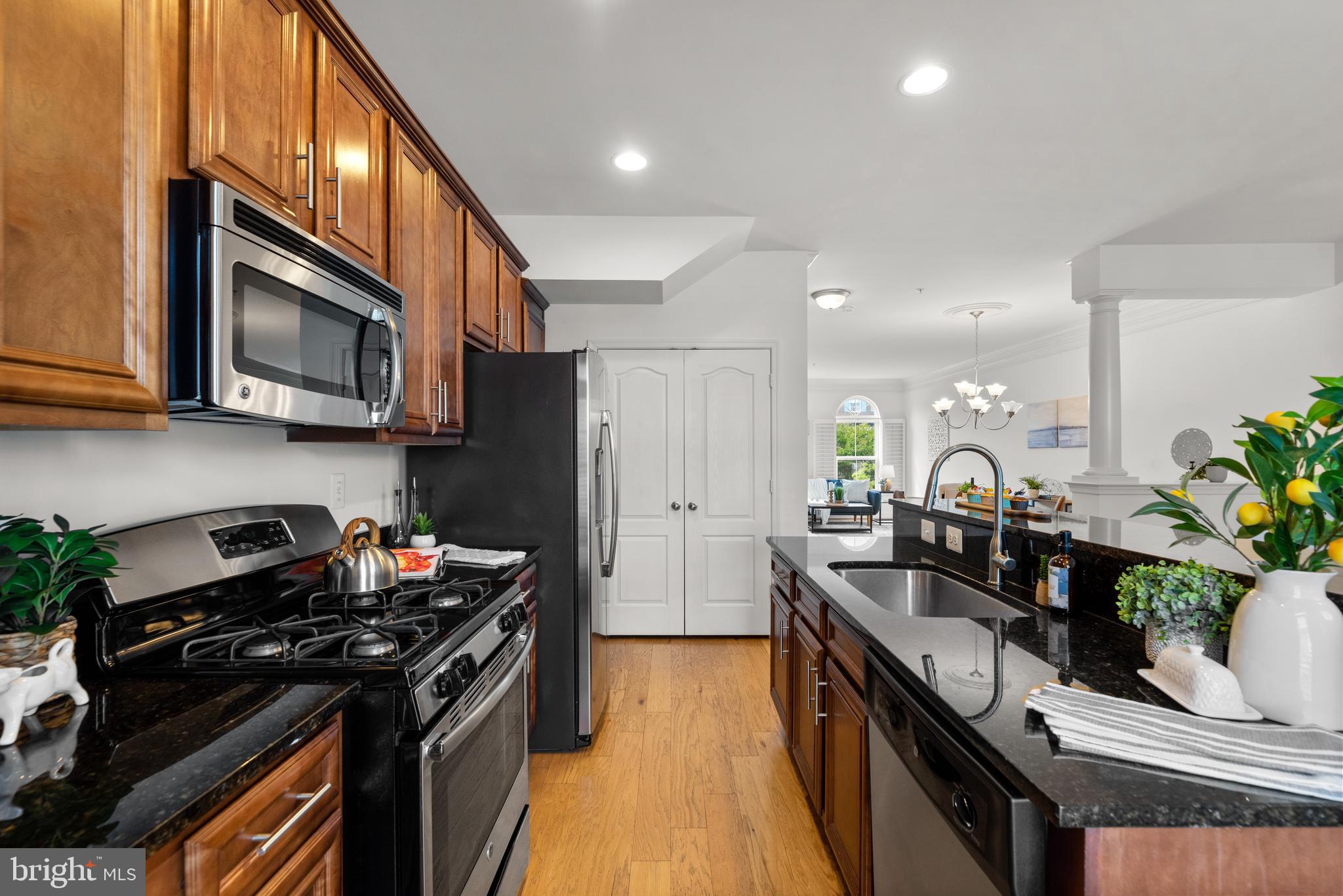 VILLAGE GREENS - Residential