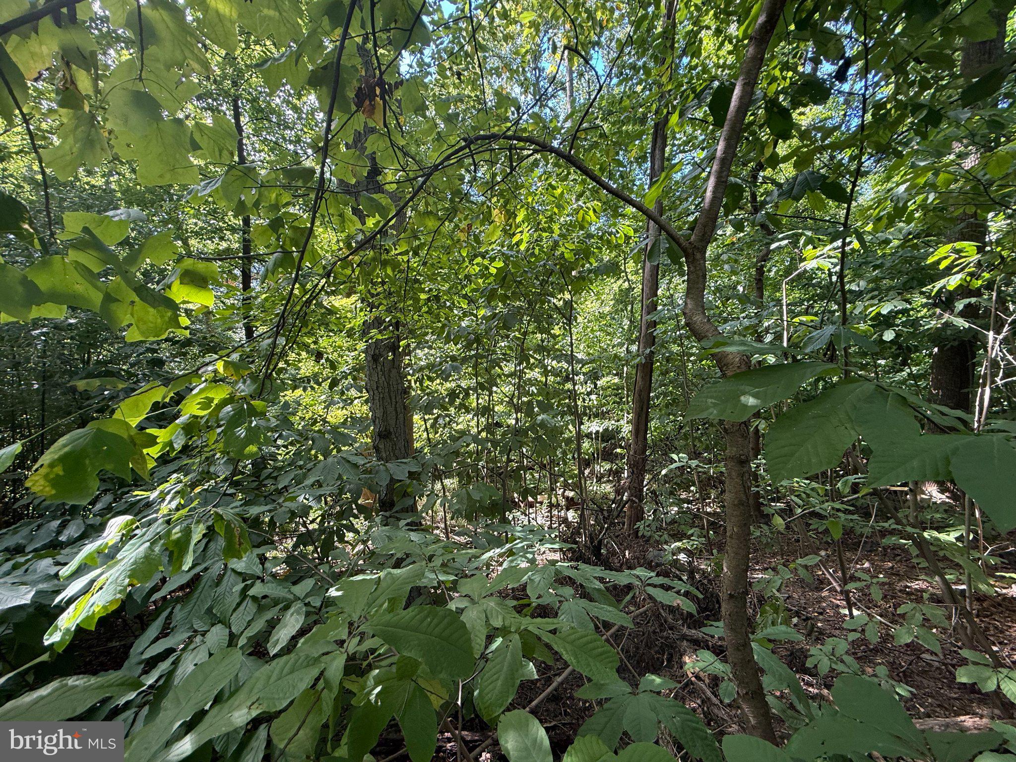 LOT 98 GREAT OAK LANE