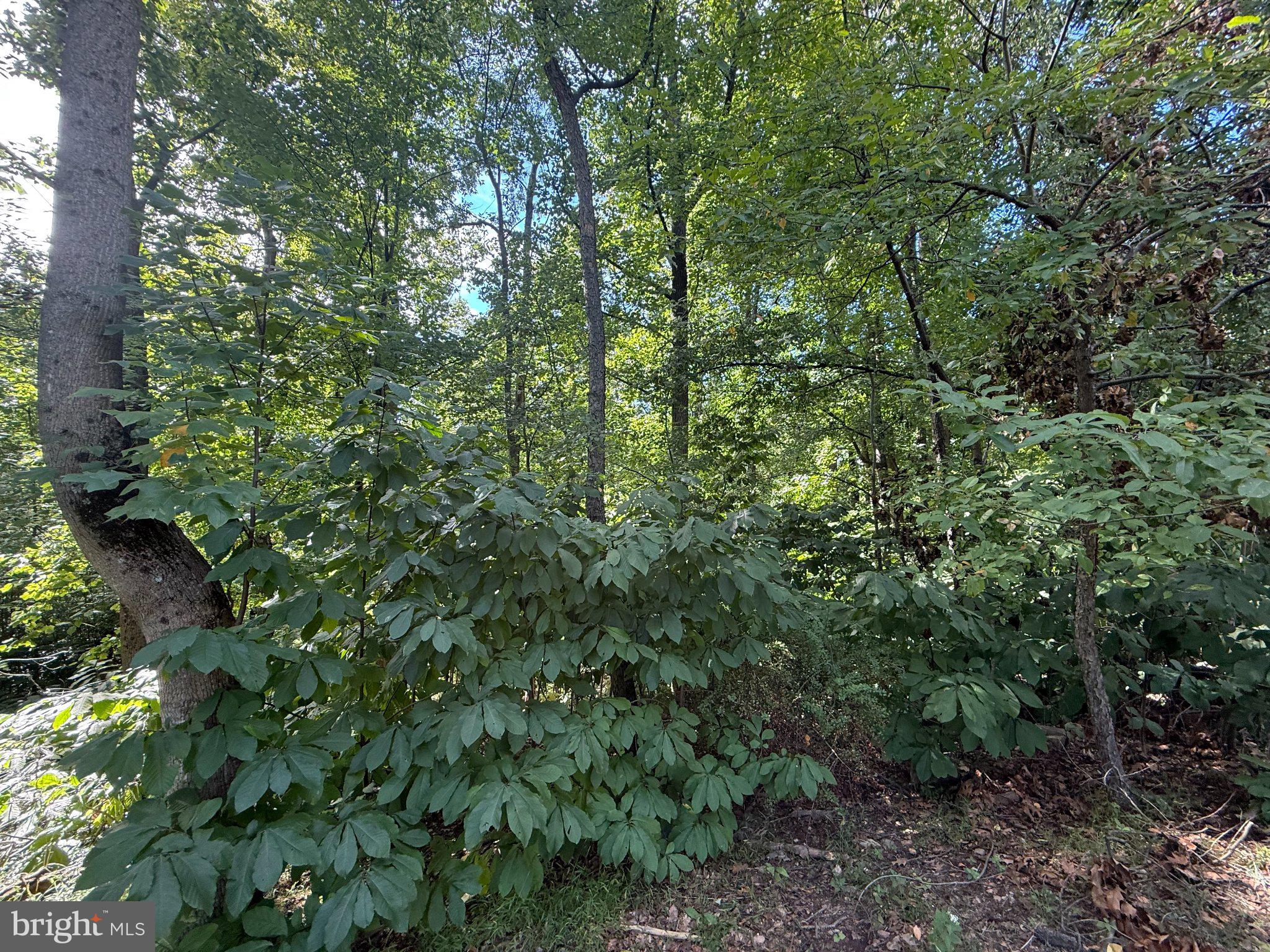 LOT 98 GREAT OAK LANE