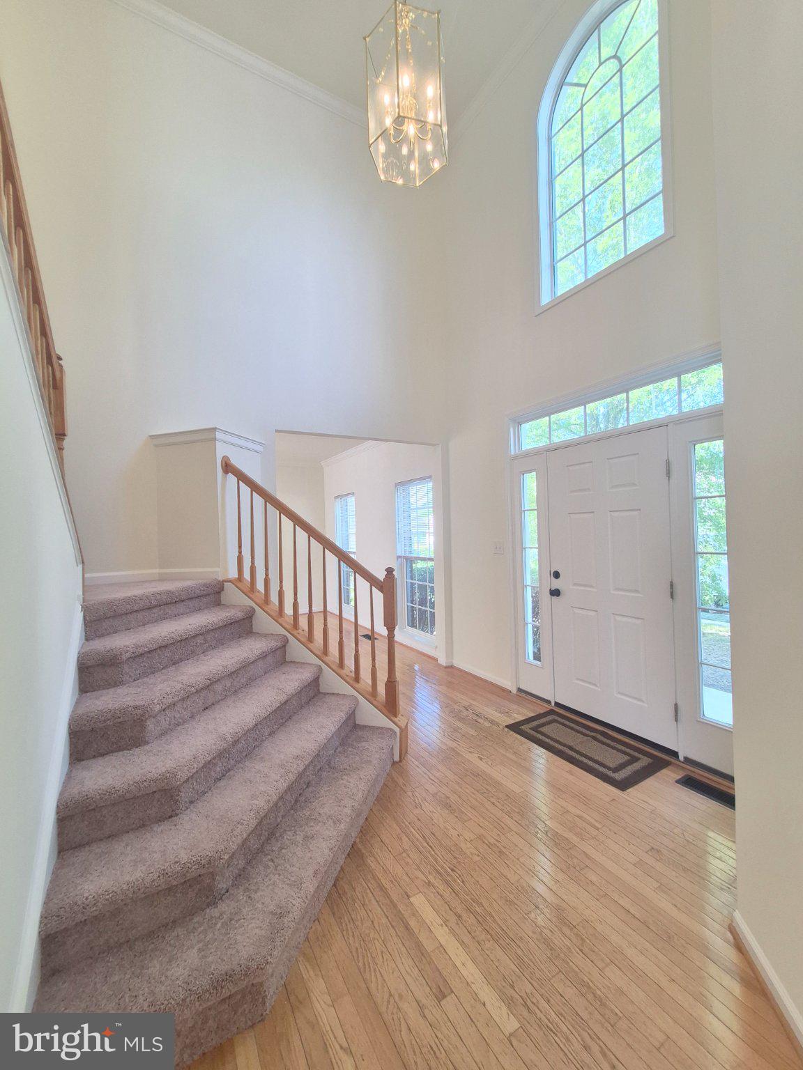 5207 LINDEN DRIVE