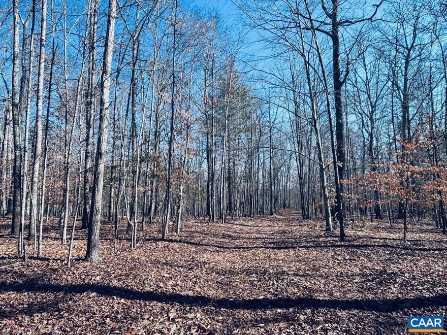 A wonderful opportunity to build 1 or 2 dream homes on this gorgeous 37 acre parcel in Keswick! Albemarle County has approved this land for subdividing into 2 lots. This level to gently rolling parcel offers great building site options as well as a babbling stream along one lot line which softly touches on Limestone Creek. Multiple building sites for 2 homes can be situated on this land, with each offering privacy. Several walking trails & old horse trails criss cross this property making this an easy one to walk and view all the pretty places! Legend tells us that Thomas Jefferson and his friend, Robert Sharp, rode on this land in the 18th century, from Sharp's neighboring plantation, Limestone Farm. Secluded, yet just minutes away from shopping at 5th Street Station, Downtown Charlottesville and the Pantops area. Truly a gorgeous piece of property. This acreage is currently in Land Use with Albemarle County and could continue with new owner, if desired.,Parcel A as shown on Plat