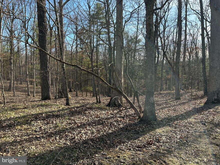 Discover Your Dream Retreat in Misty Meadows!

Welcome to this stunning 5-acre lot located in the desirable Misty Meadows, a gated community in Augusta, West Virginia. This exceptional property offers direct access to the serene river and features a community pavilion for your enjoyment and gatherings.

Property Highlights:

• Size: 5 acres of mostly level terrain, perfect for your future home.

• Natural Features: Enjoy the gentle slope at the rear of the property, complemented by a charming wet weather stream.

• Wildlife Haven: Abundant hardwoods create a natural habitat for diverse wildlife, making it an ideal spot for nature enthusiasts.

• Flexible Options: Purchase now and build your dream home later, giving you the freedom to plan at your own pace.

Embrace tranquility and adventure in this picturesque community. Don’t miss the chance to own a slice of paradise in Misty Meadows!