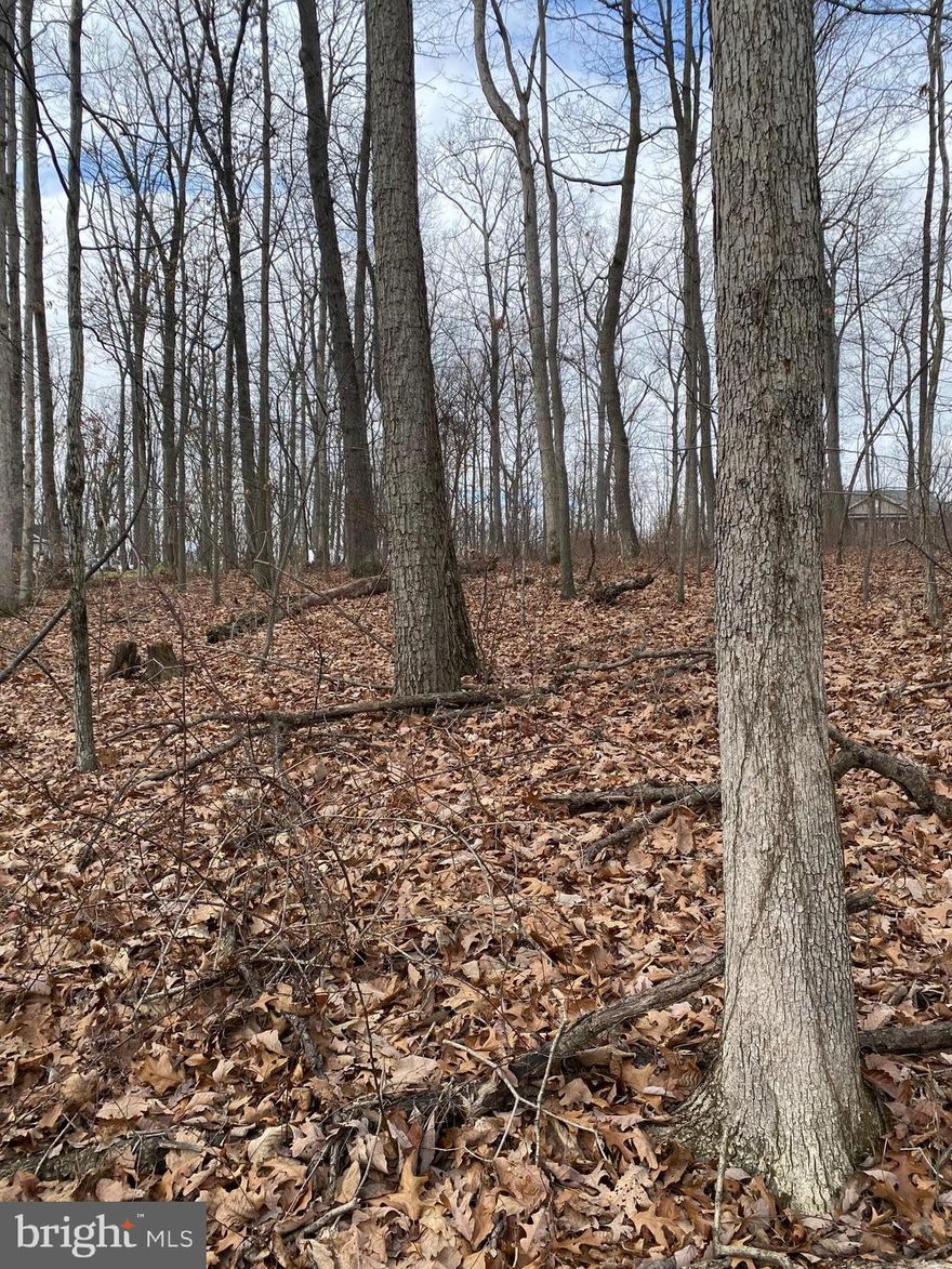 Beautiful private woods of wonderland available to build your new dream home!!!  Obtained satisfactory percolation testing of a conventional septic system appox. 15 years ago hower, buyer  is to verify all information and requirements with the county.