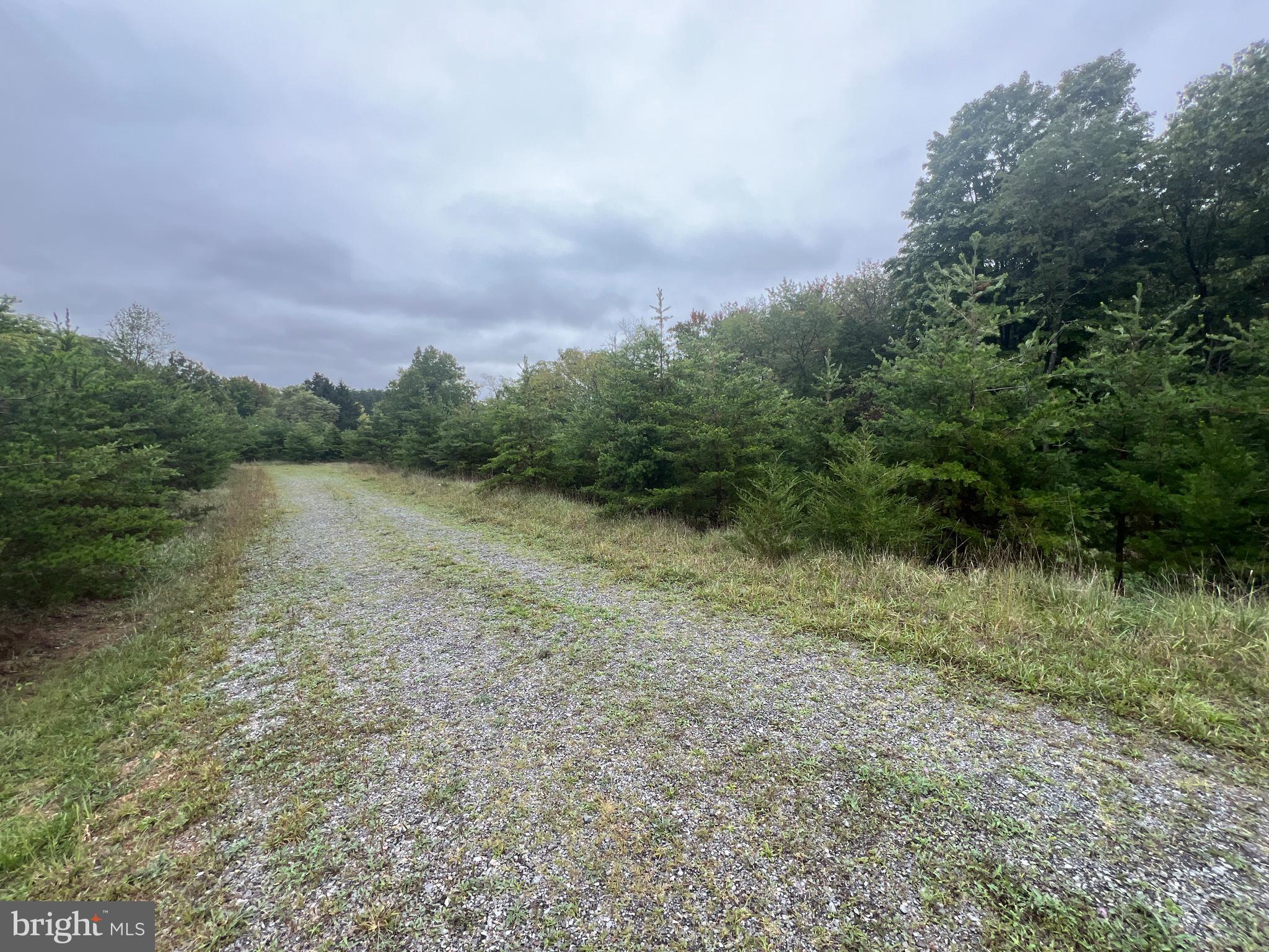 HIGHEST AND BEST DUE 9/25/2024 at 7:00 PM
Nice 2.14 acre building lot located minutes away from Berkeley Springs. The lot already has a perc on file with the Morgan County Health Department. Covenants and Restrictions in place, seller has not been charged an HOA due yet.