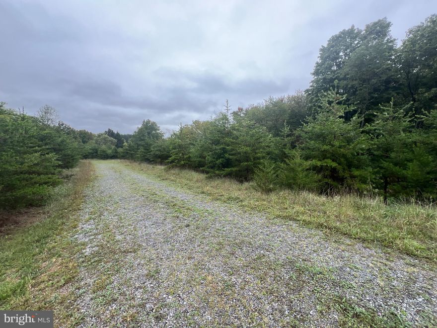 HIGHEST AND BEST DUE 9/25/2024 at 7:00 PM 

Nice 2.14 acre building lot located minutes away from Berkeley Springs. The lot already has a perc on file with the Morgan County Health Department. Covenants and Restrictions in place, seller has not been charged an HOA due yet.