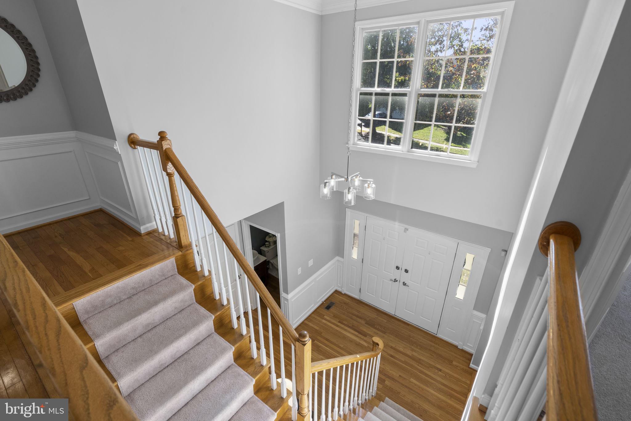 22019 IVY LEAF DRIVE