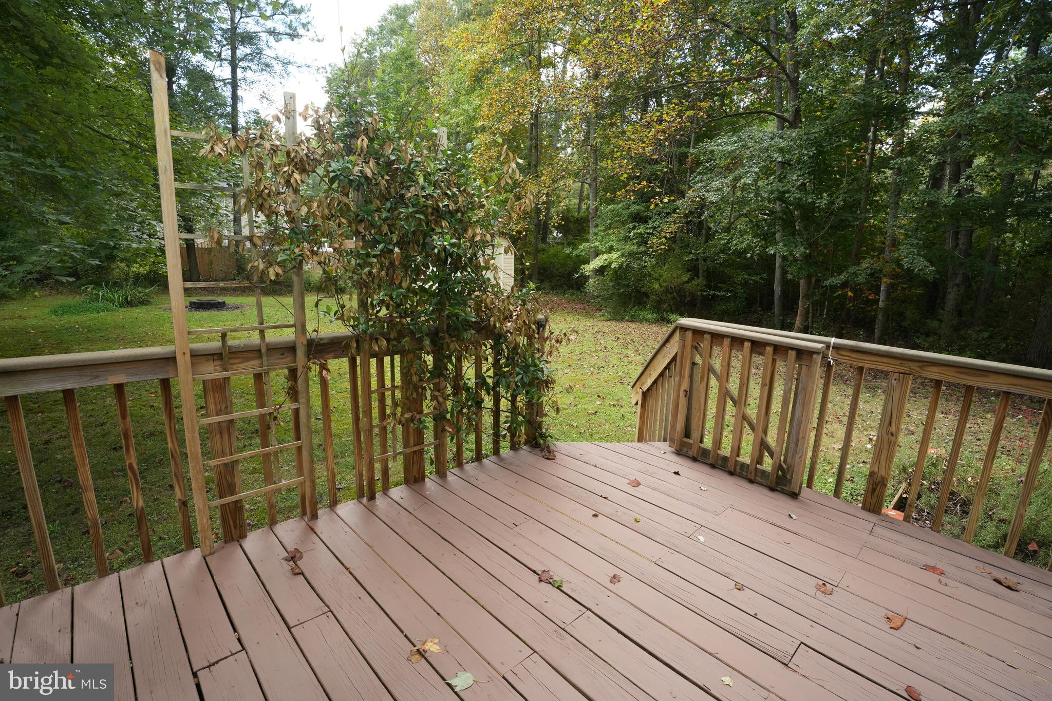 FORREST PARK - Residential