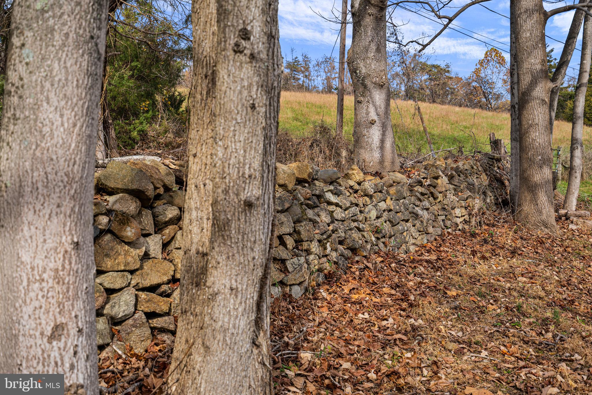 SHENANDOAH WOODLANDS - Residential