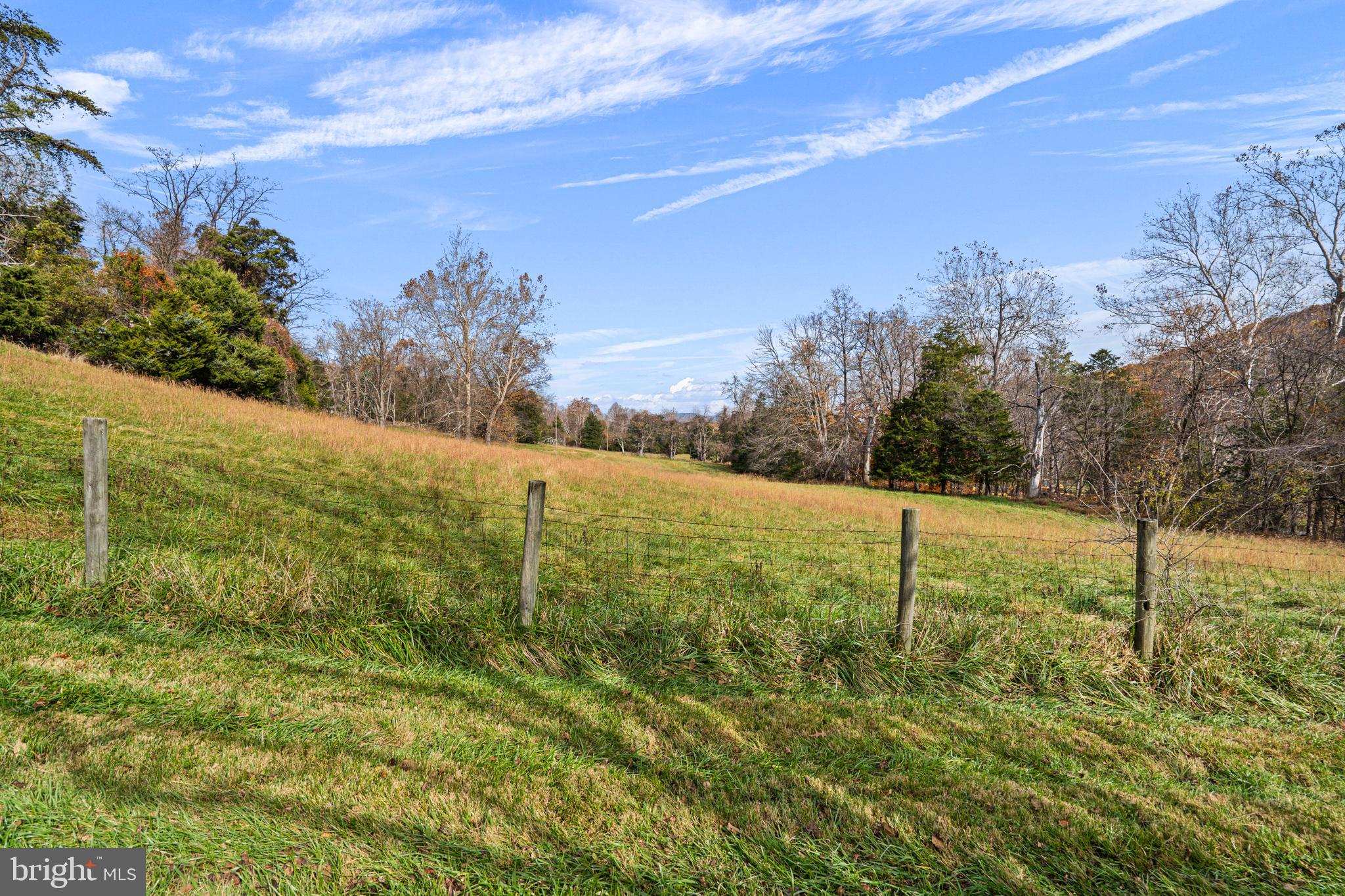 SHENANDOAH WOODLANDS - Residential