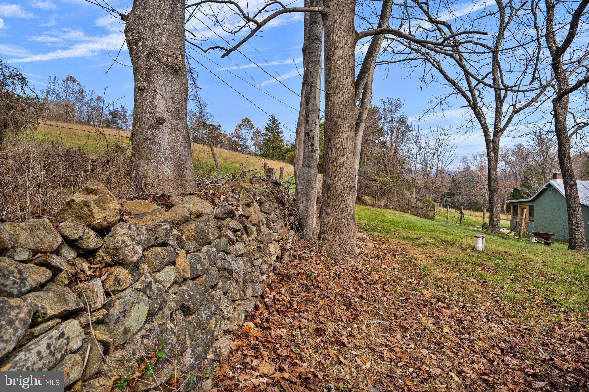 SHENANDOAH WOODLANDS - Residential