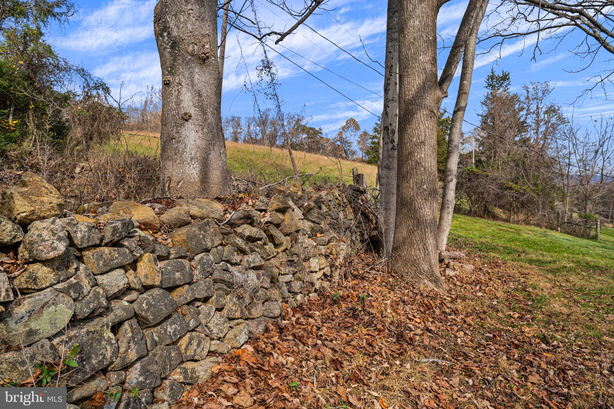 SHENANDOAH WOODLANDS - Residential