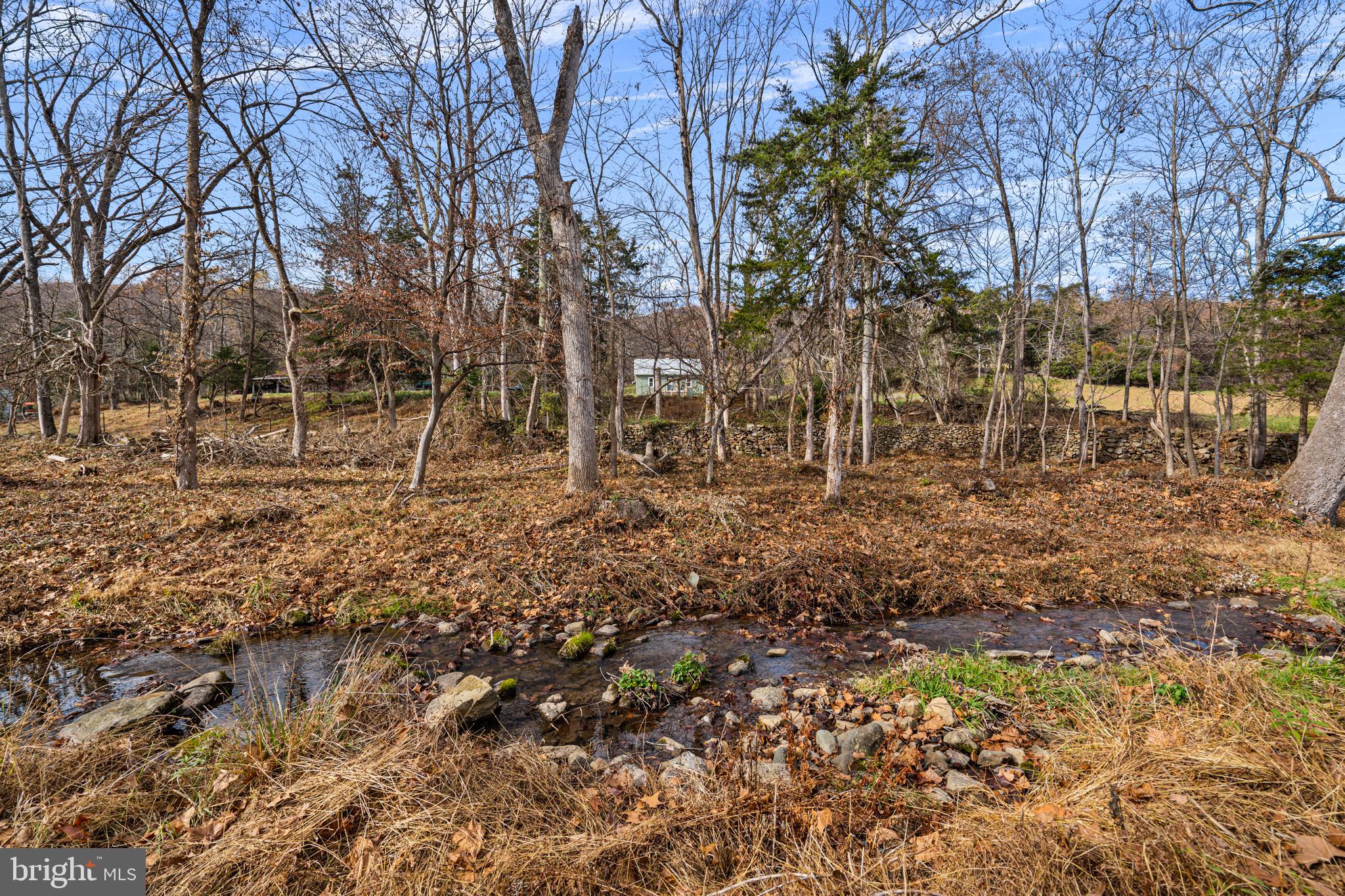 SHENANDOAH WOODLANDS - Residential