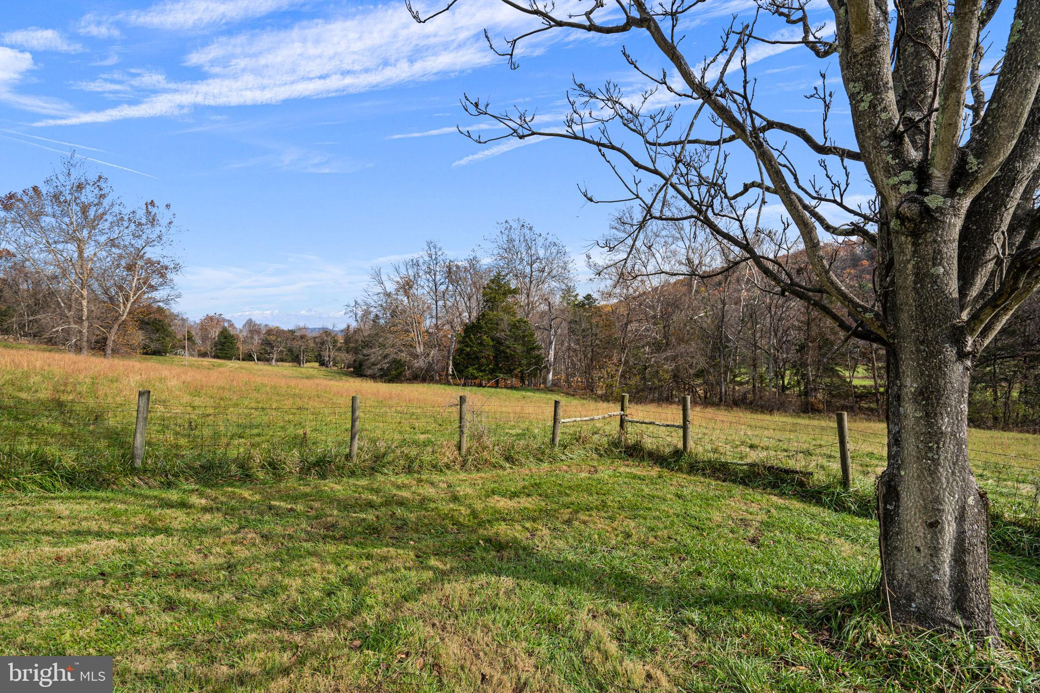 SHENANDOAH WOODLANDS - Residential