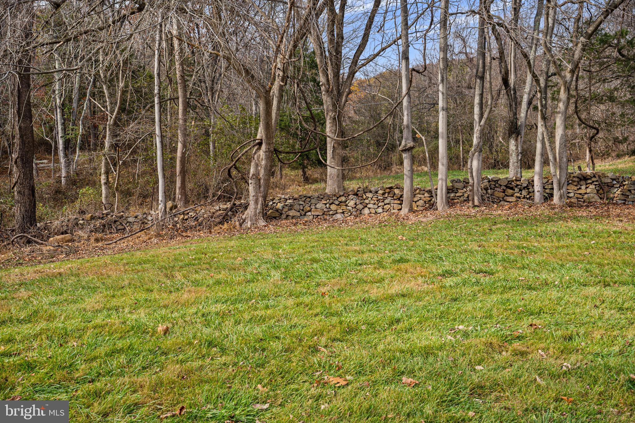 SHENANDOAH WOODLANDS - Residential