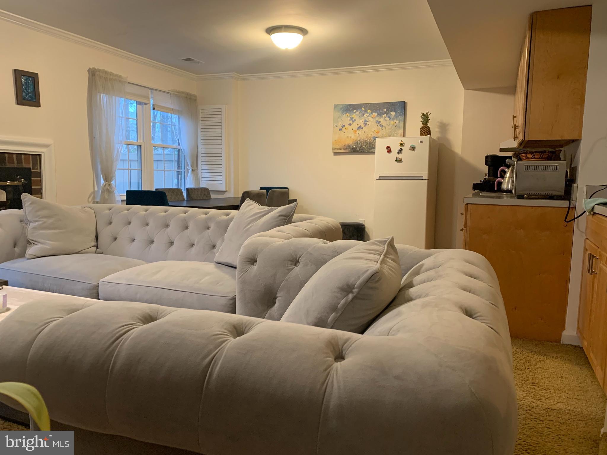 A cheerful one-bedroom apartment on the lower level of the town house, with a full bath, living and dining room combination, a kitchenette, a lovely patio, it gets full natural light and is quite spacious.
You are only 10 minutes' walk to the White Flint Metro on the Red Line. There are two trails nearby, parks, restaurants and stores within walking distance. Pike & Rose is only 15 minutes' walk too!
