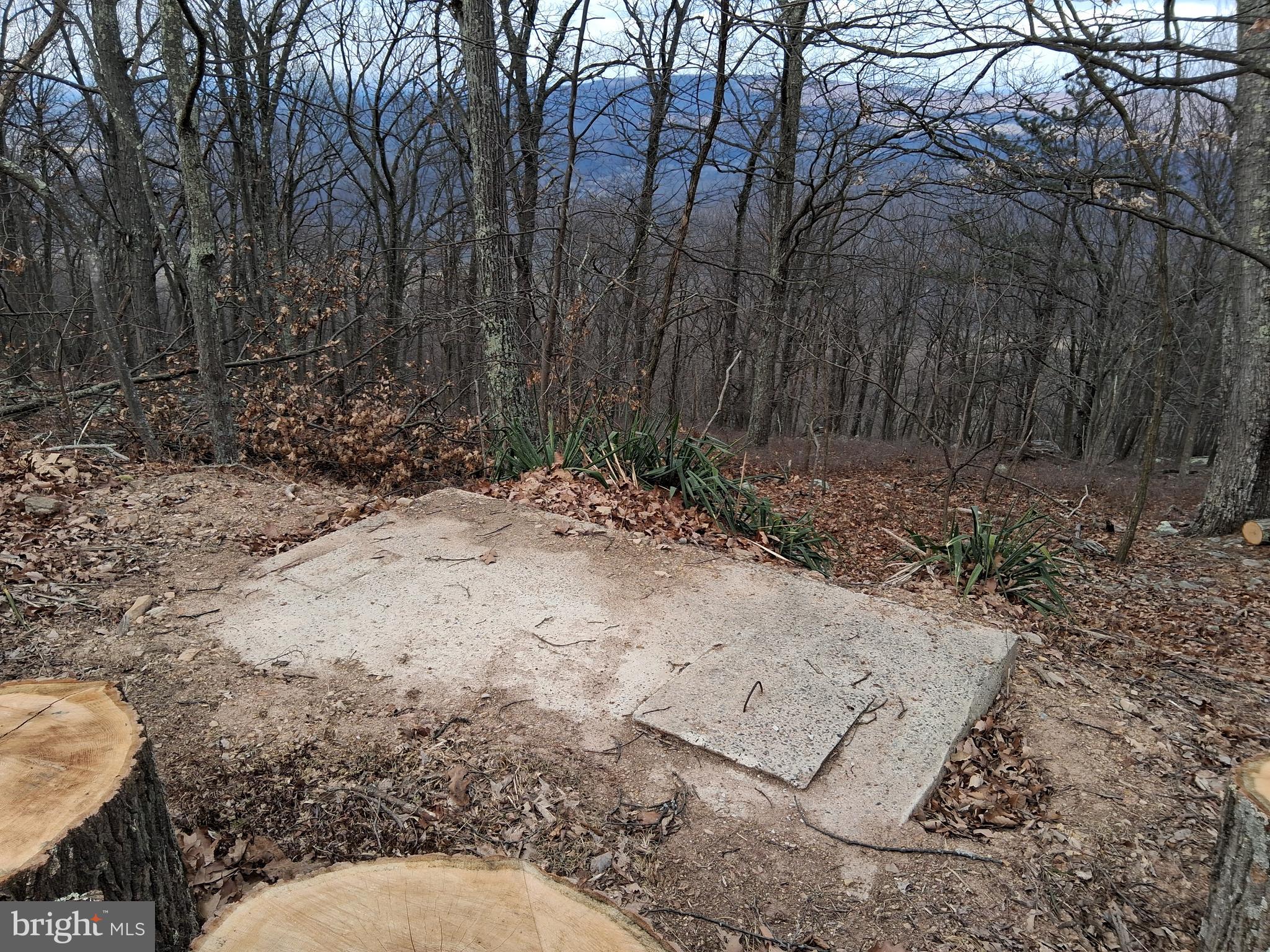 POTOMAC VALLEY VISTA - Land