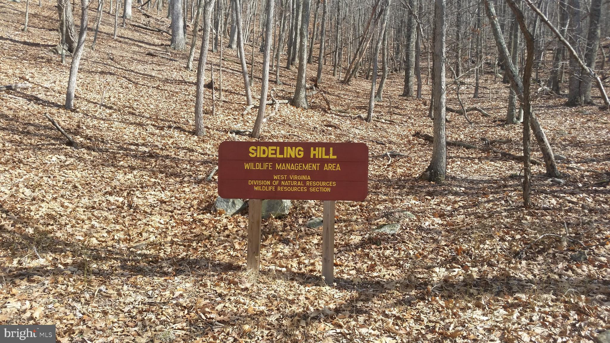 POTOMAC VALLEY VISTA - Land