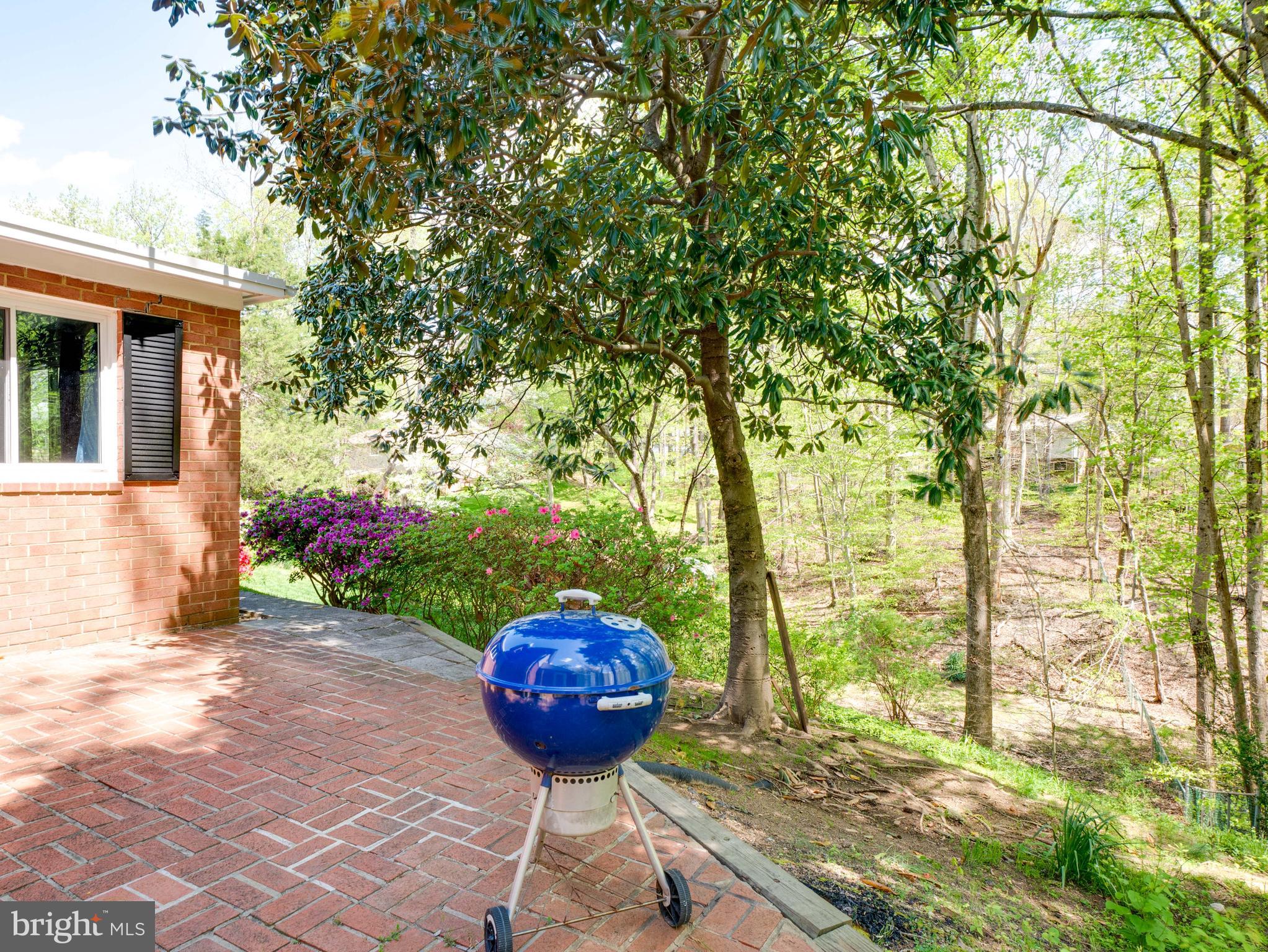 WEST SPRINGFIELD VILLAGE - Residential Lease