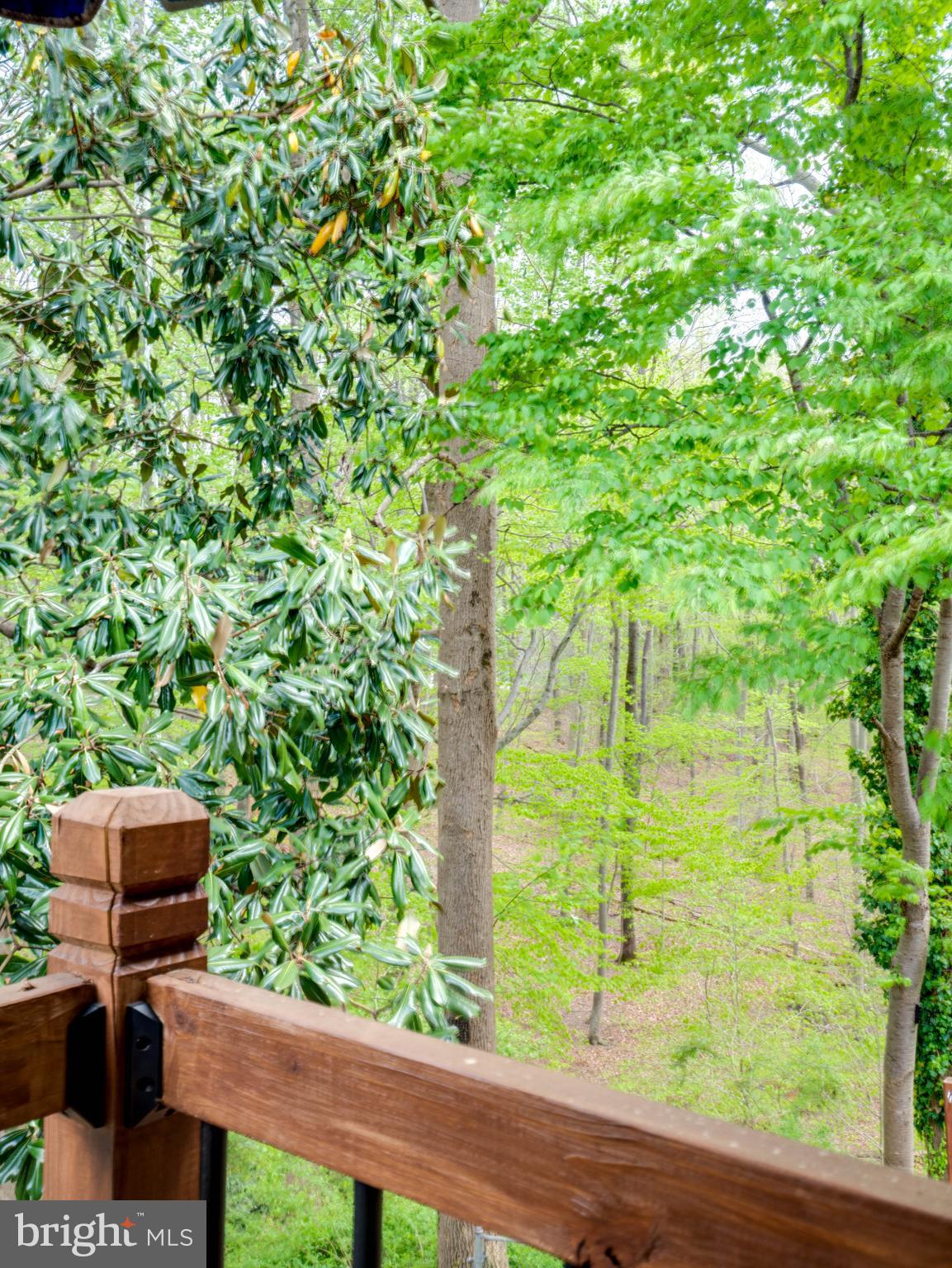 WEST SPRINGFIELD VILLAGE - Residential Lease