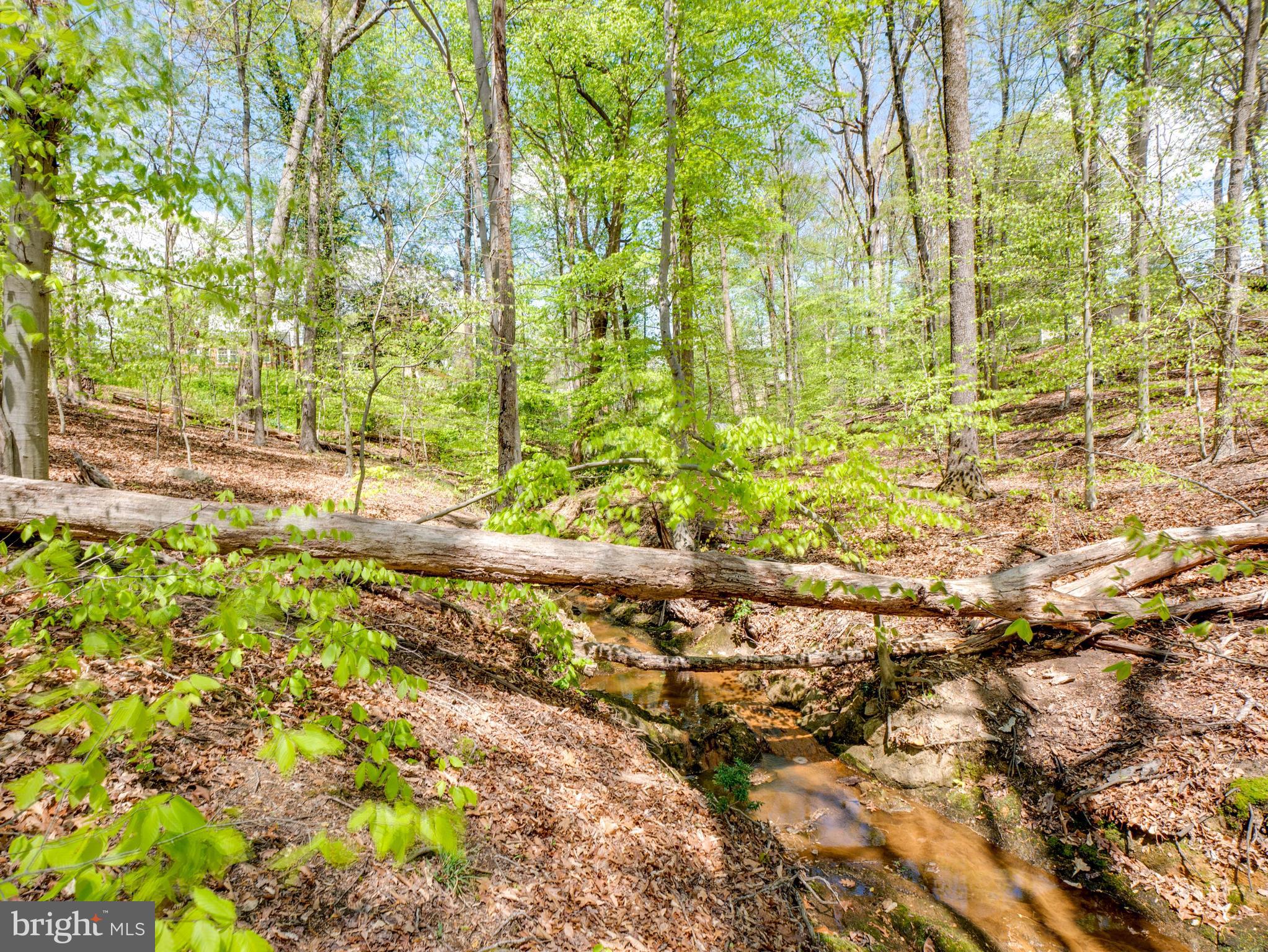 WEST SPRINGFIELD VILLAGE - Residential Lease