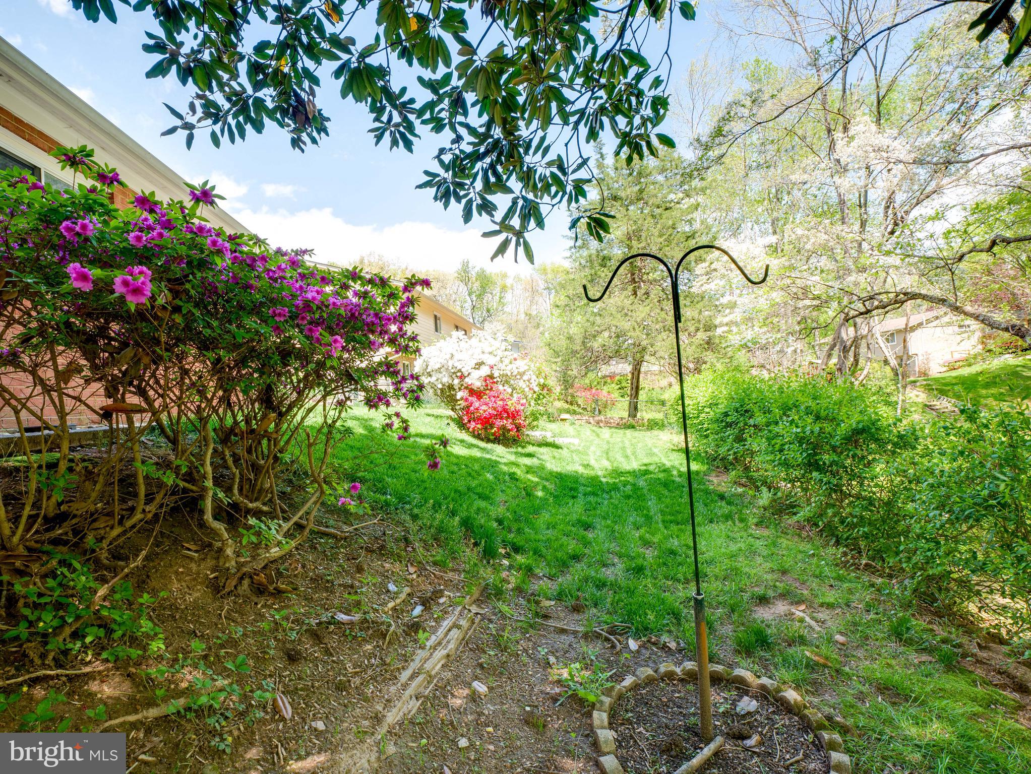 WEST SPRINGFIELD VILLAGE - Residential Lease