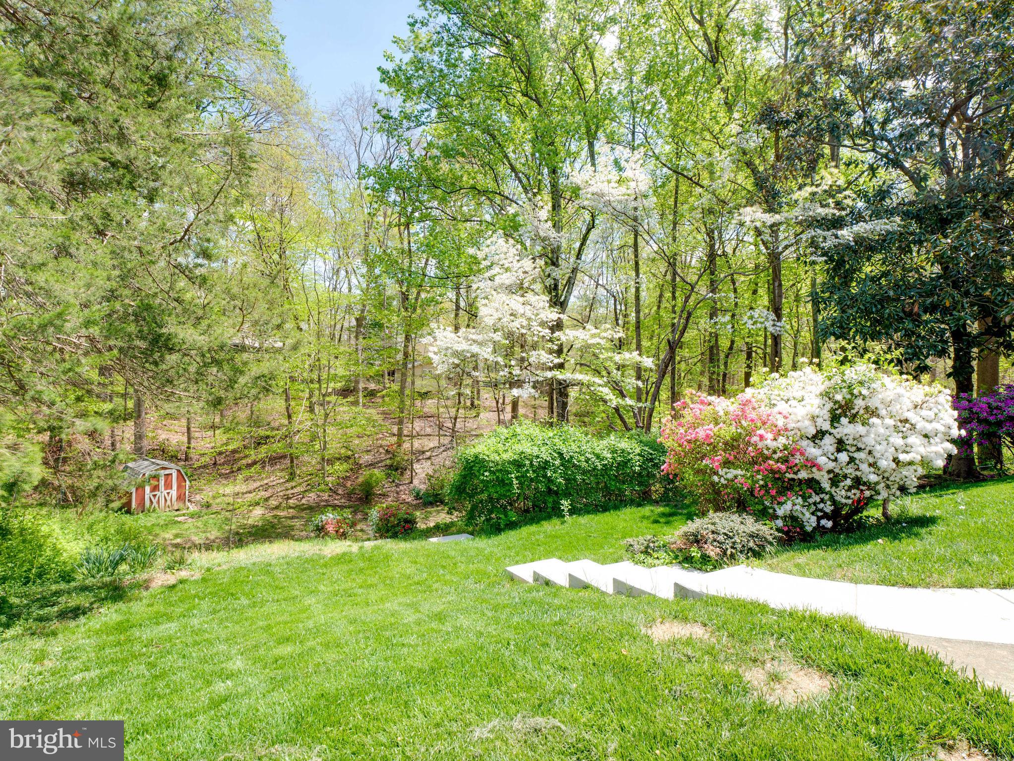 WEST SPRINGFIELD VILLAGE - Residential Lease