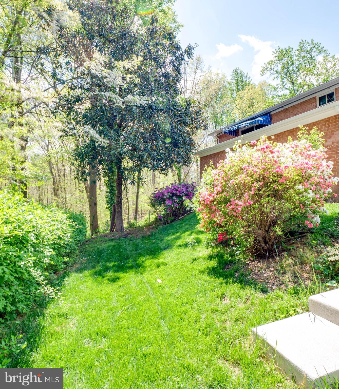 WEST SPRINGFIELD VILLAGE - Residential Lease