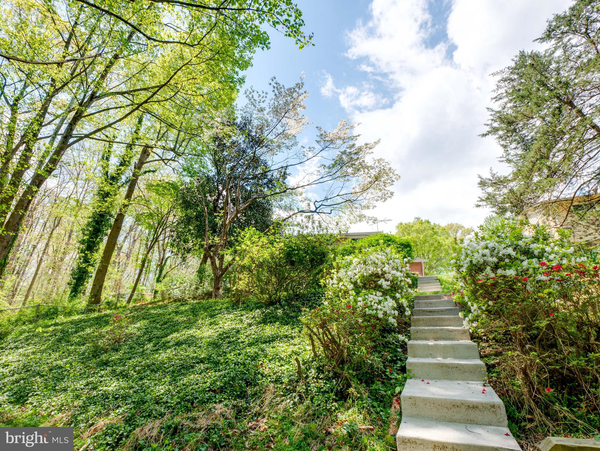 WEST SPRINGFIELD VILLAGE - Residential Lease