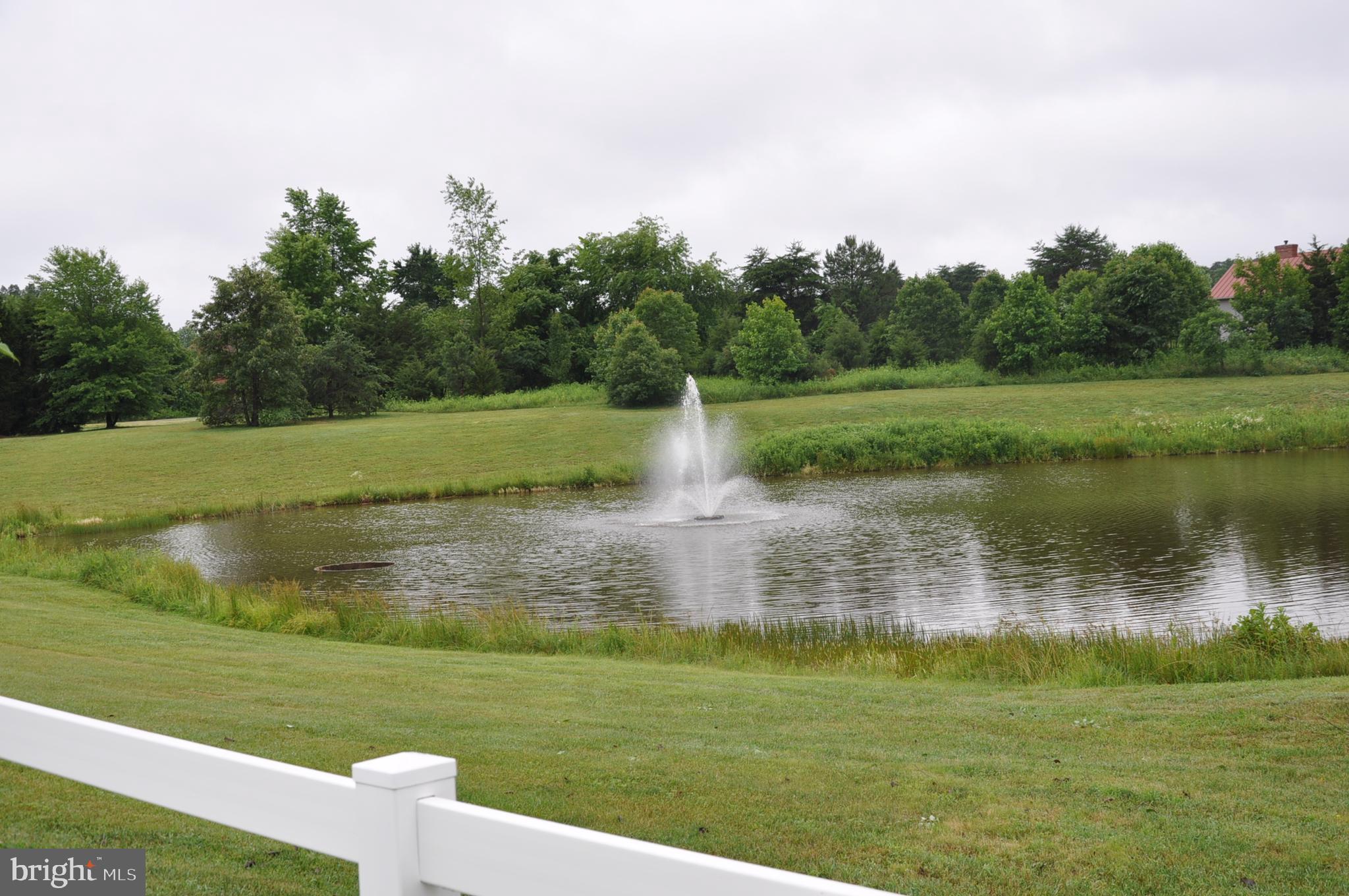 THE WATERS AT LAKE ANNA - Residential