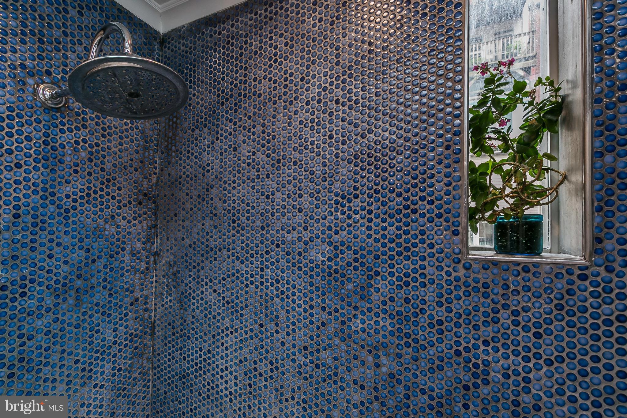 MOUNT VERNON PLACE HISTORIC DISTRICT - Residential Lease