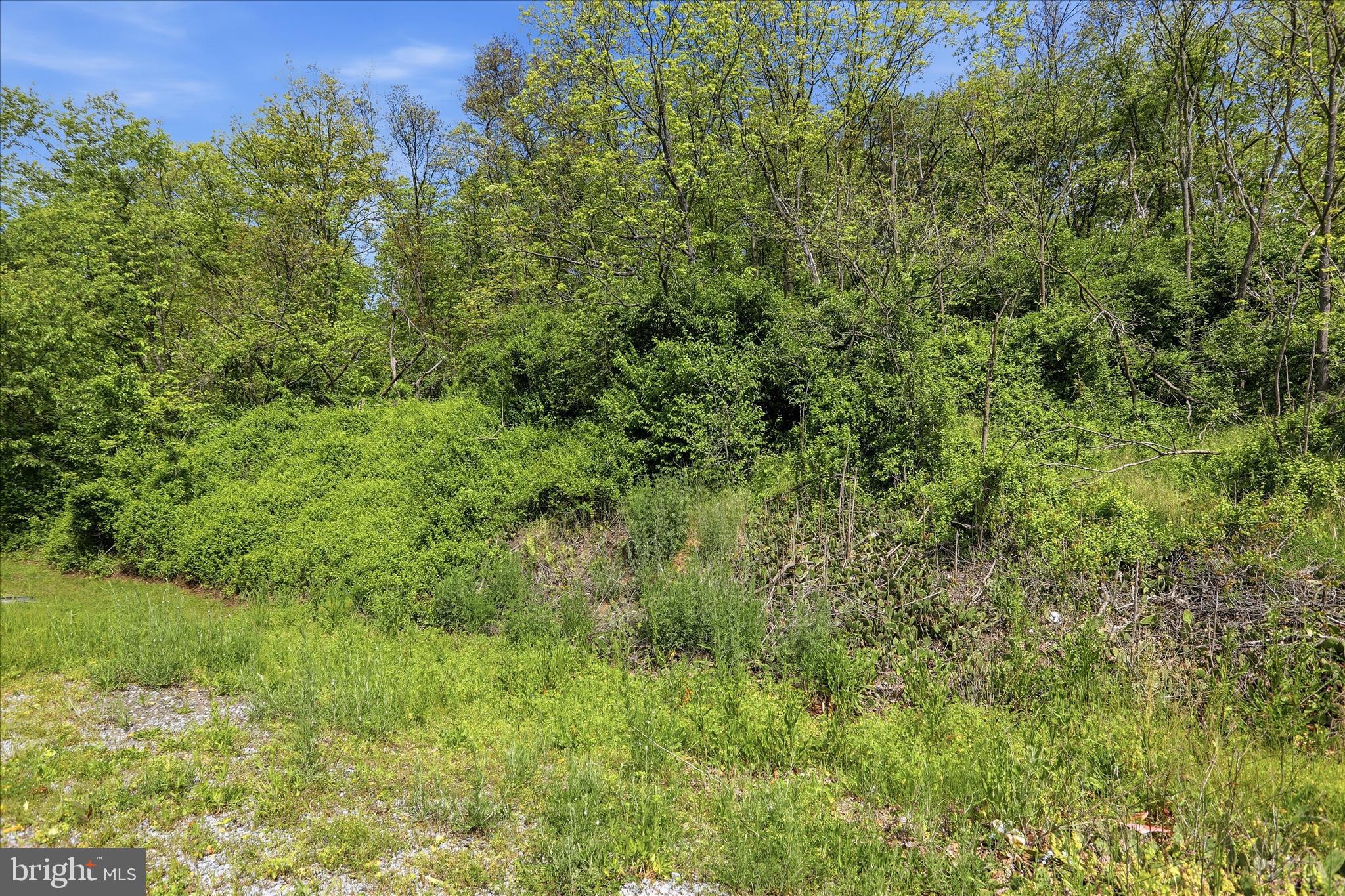 8849 WILLOWDALE ROAD. LOT 23