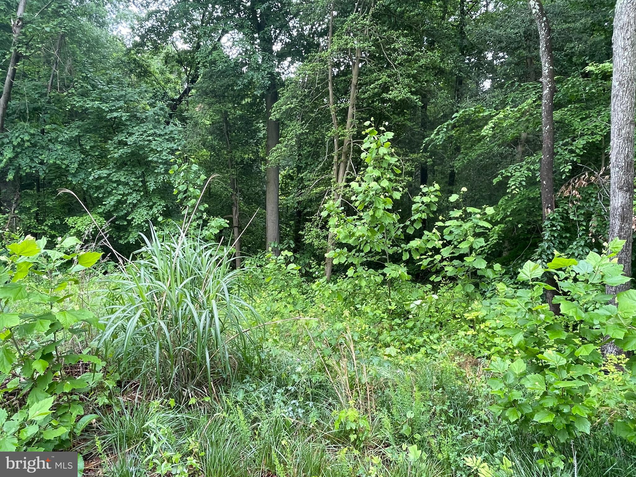 POTOMAC LANDING - Land