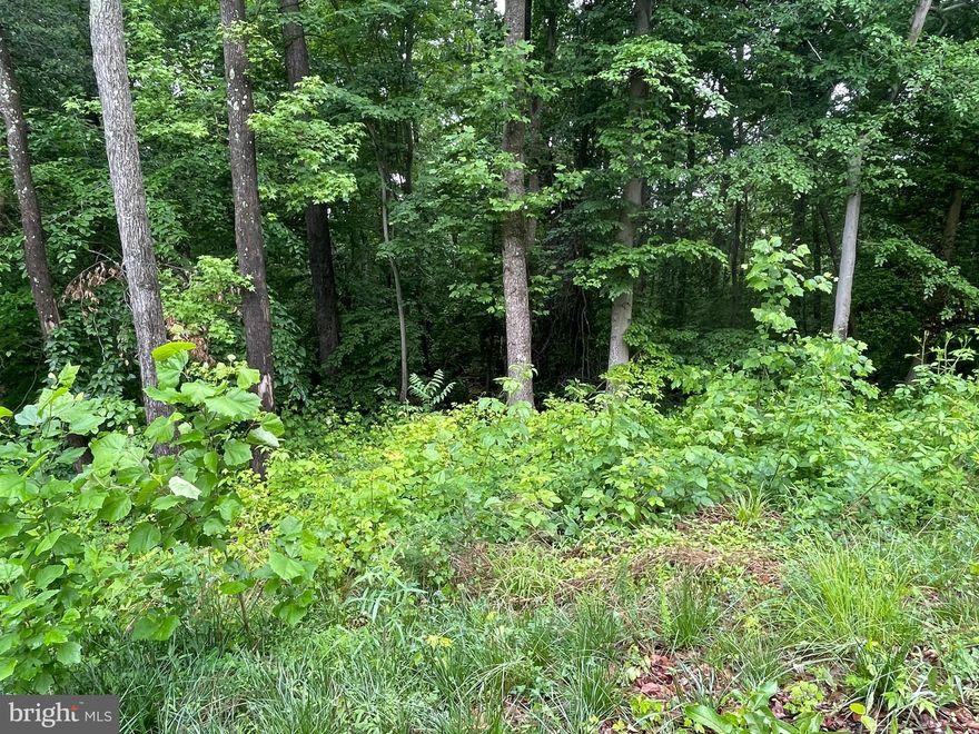 Potomac River 10 acre lots are now available in Potomac Landing. Enjoy the best of both worlds with the privacy of 10+ acres and the amenities of this sought after community. Golf cart to Tim's II or Rick's on the River restaurants. Canoe, kayak  or catch trophy bass in the private pond.  Launch your boat and anchor off the community beaches on your deeded access to the Potomac. Builders are on site so buy now and build now or buy now and build later. 

CLOSE TO 95/17 AND DOWNTOWN FREDERICKSBURG. DAHLGREN, AND THE NEW 301 BRIDGE! APPROVED 4 BDRM CONV DRAIN FIELDS. WOODED HOME SITES WITH PLENTY OF PRIVACY AND THE AMENITIES OF POTOMAC LANDING. INVENTORY IS LIMITED, LOTS STARTING FROM THE LOW 100'S. SEE DOCS