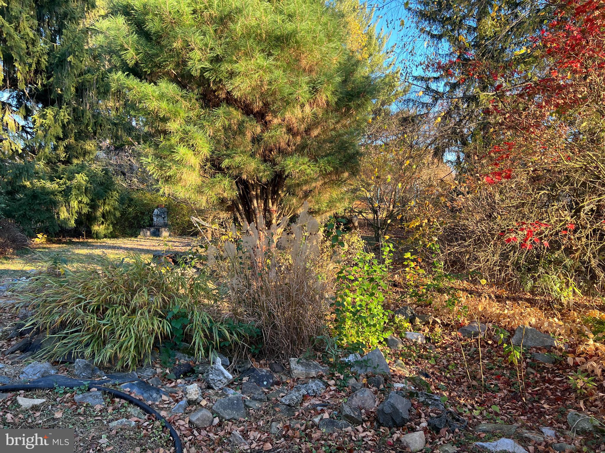 WAYNE HEIGHTS - Residential