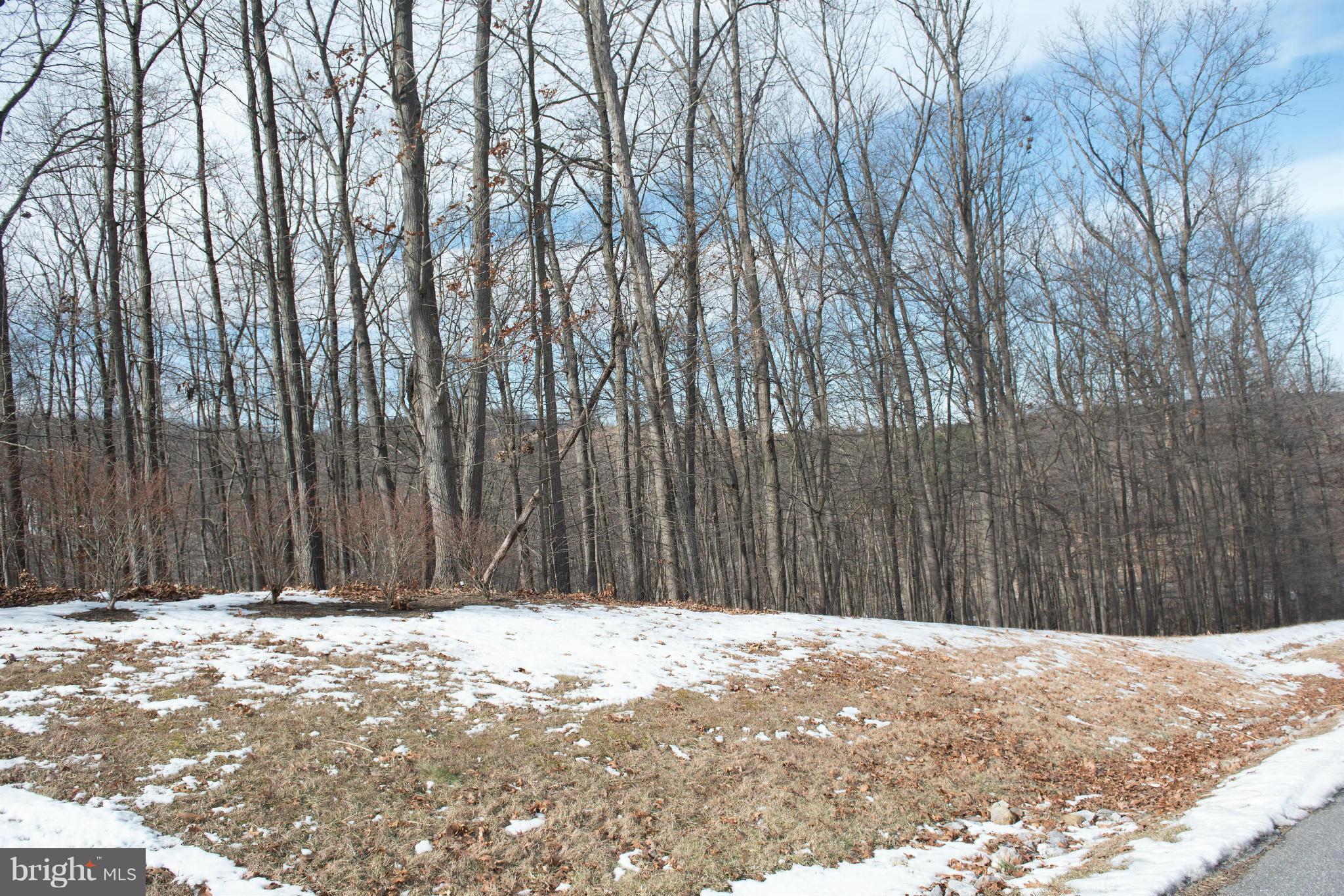 CENTRAL PARK WEST - Residential