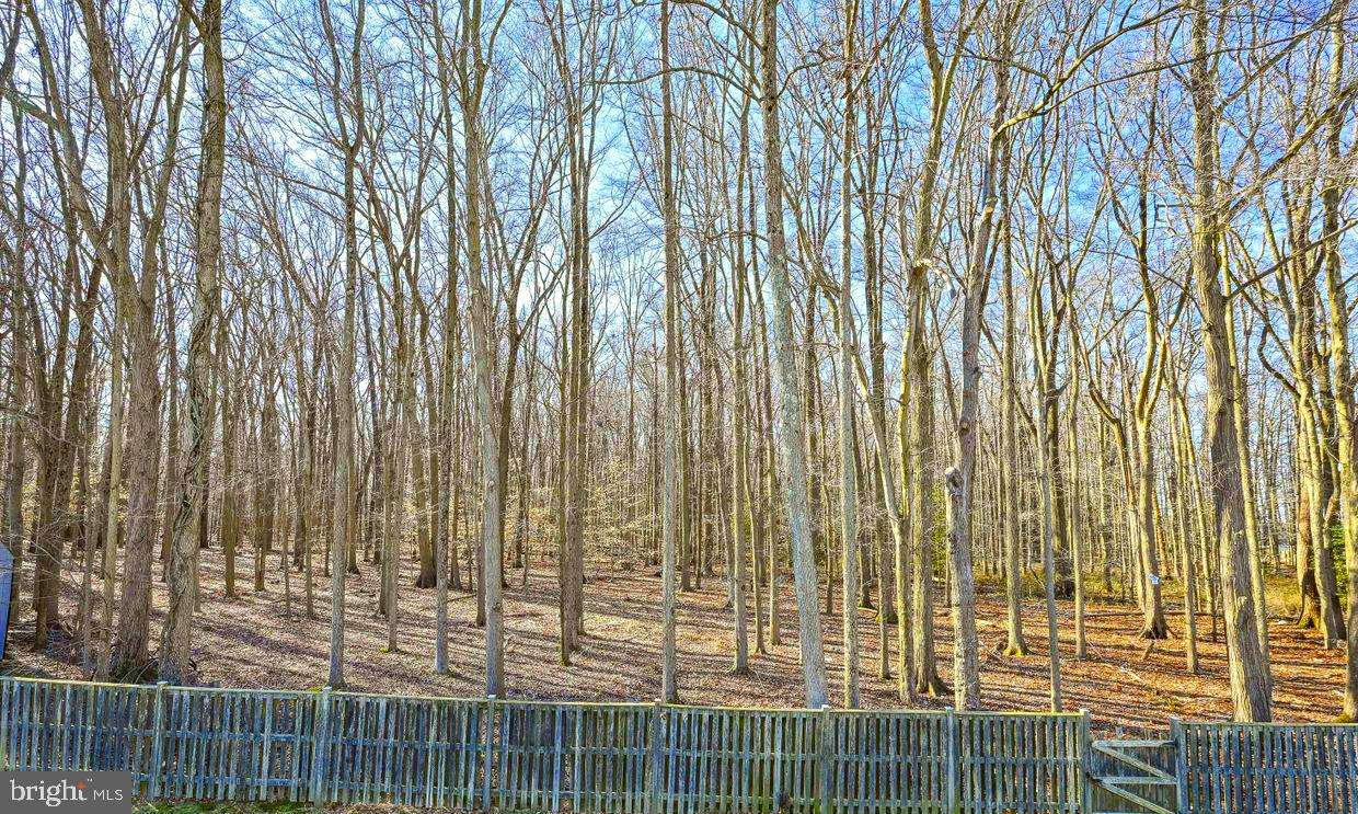 CUNNINGHILL COVE - Residential